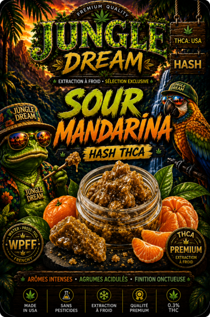 Resine thca - sour mandarina - jungle dream