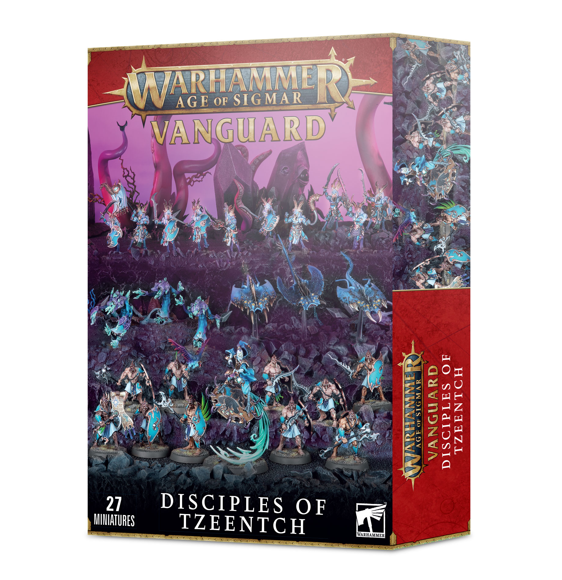 https___trade.games-workshop.com_assets_2022_09_99120201120_DoTVanguardStock