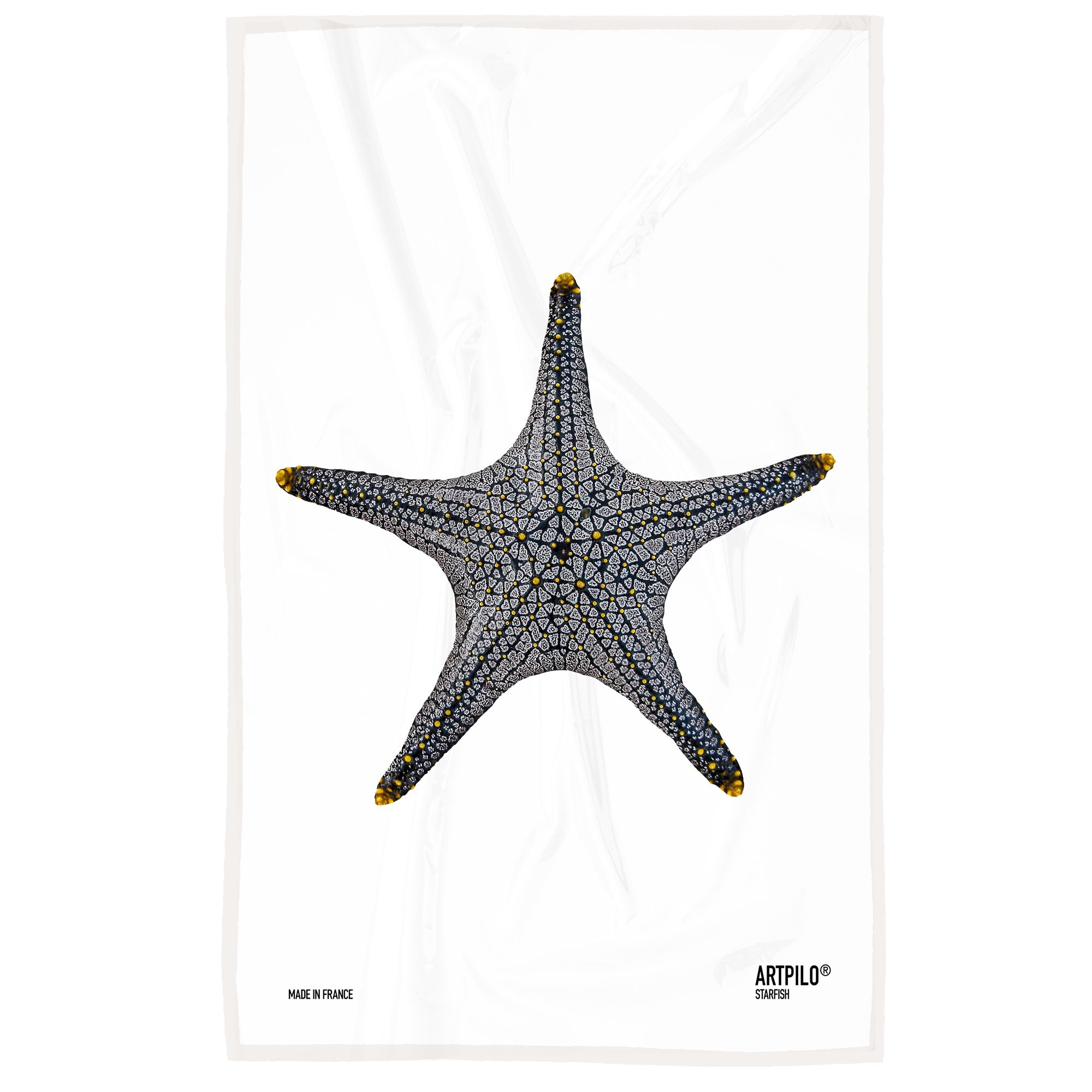Torchon STAR FISH