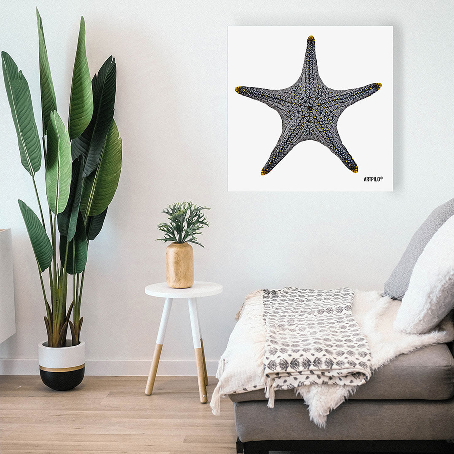 Tableau STAR FISH Blanc 60x60 cm - Collection Mer