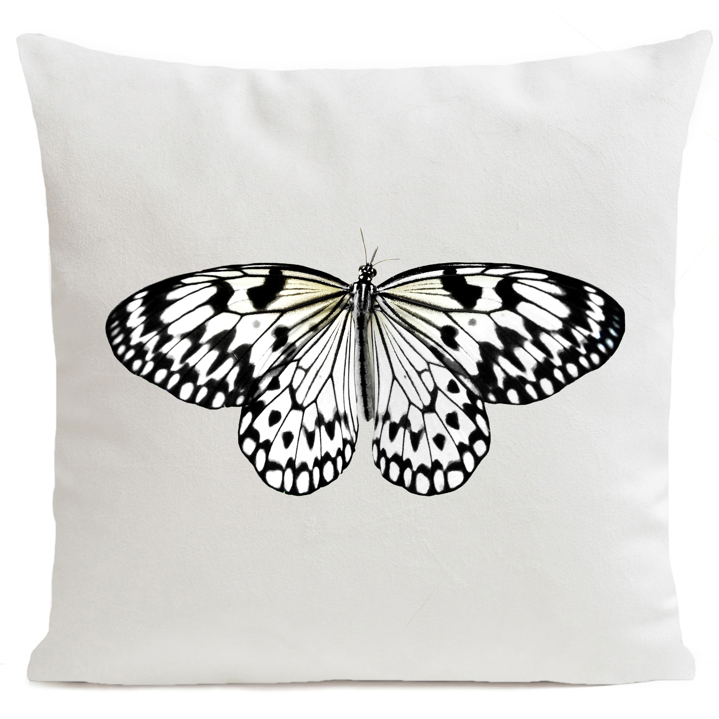 Coussin White Butterfly