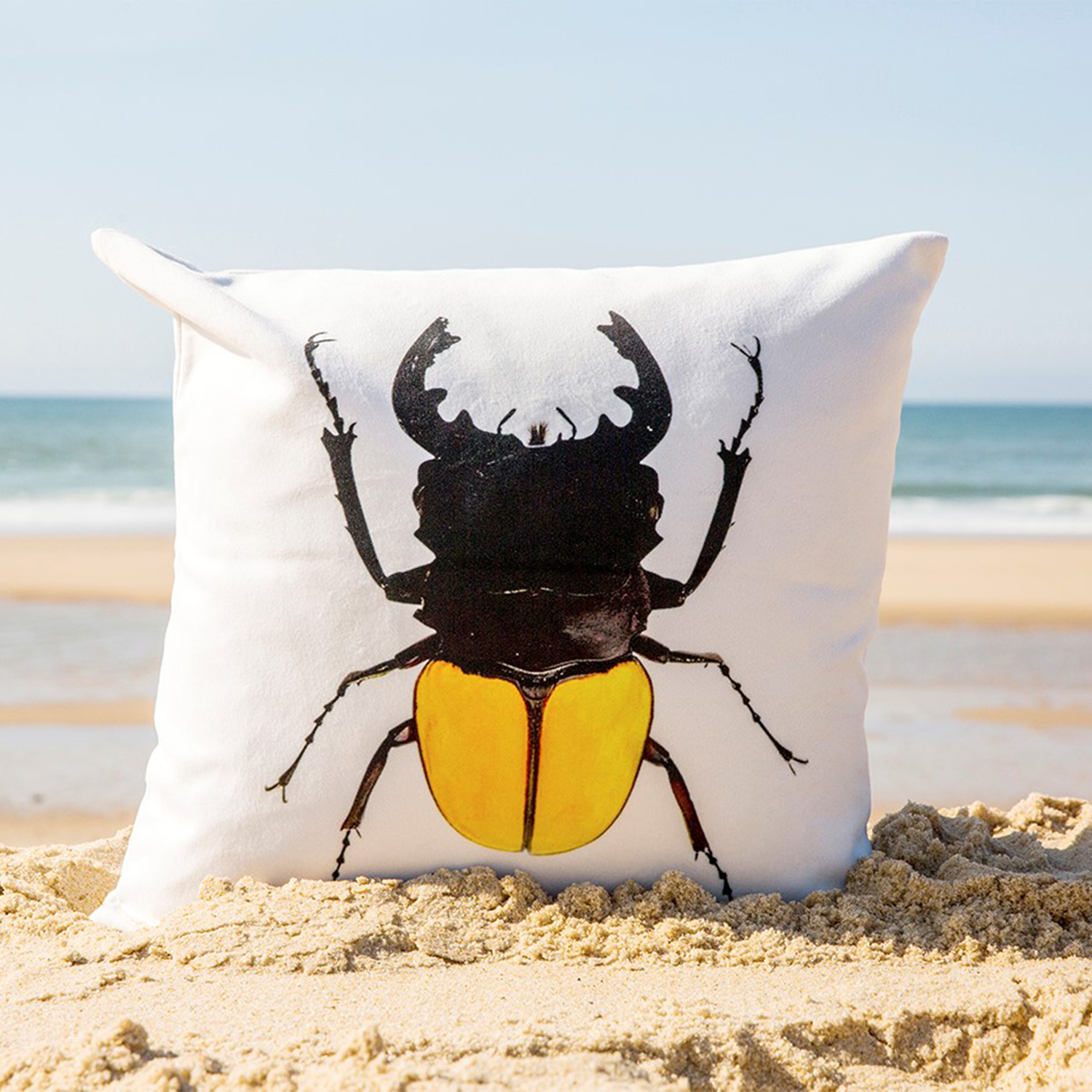coussin_insectVII_blanc_ambiance