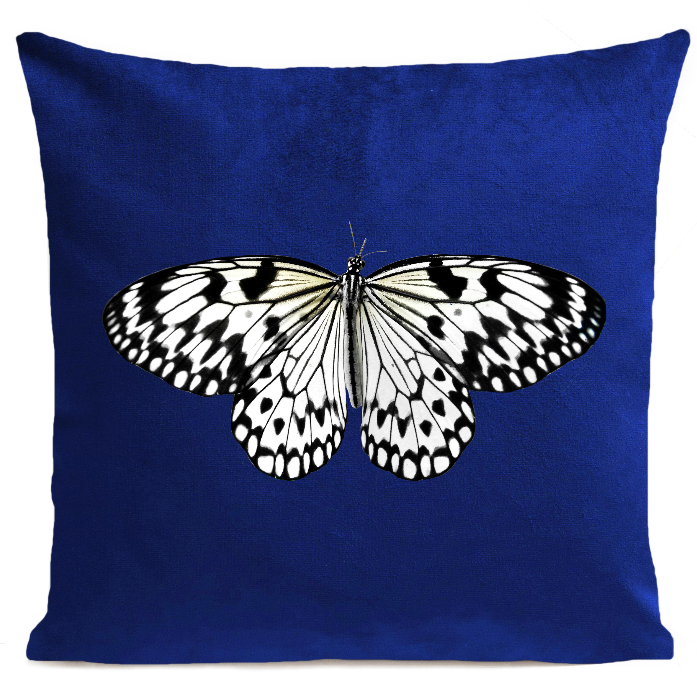 coussin-white-butterfly-bleu-klein