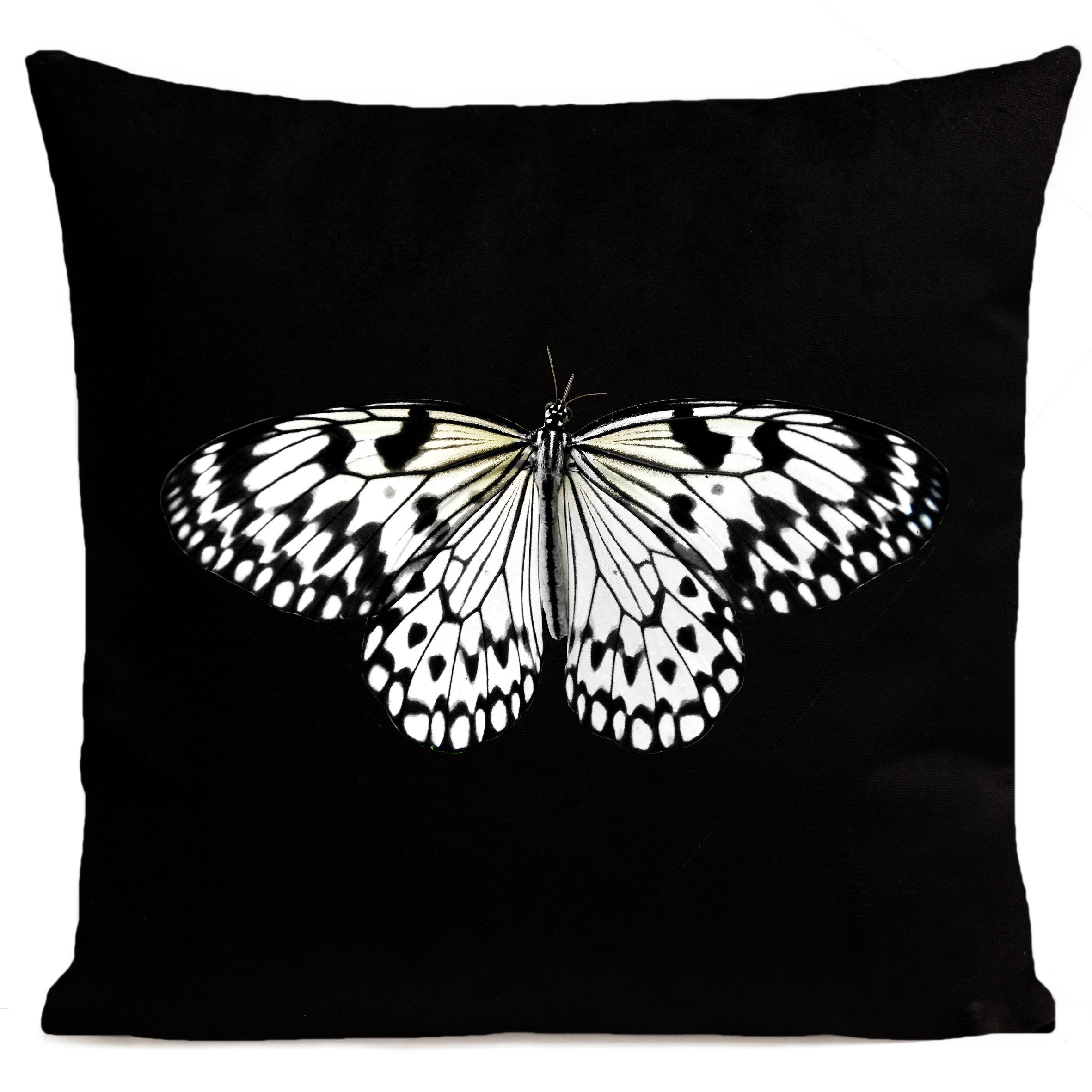 coussin-white-butterfly-noir
