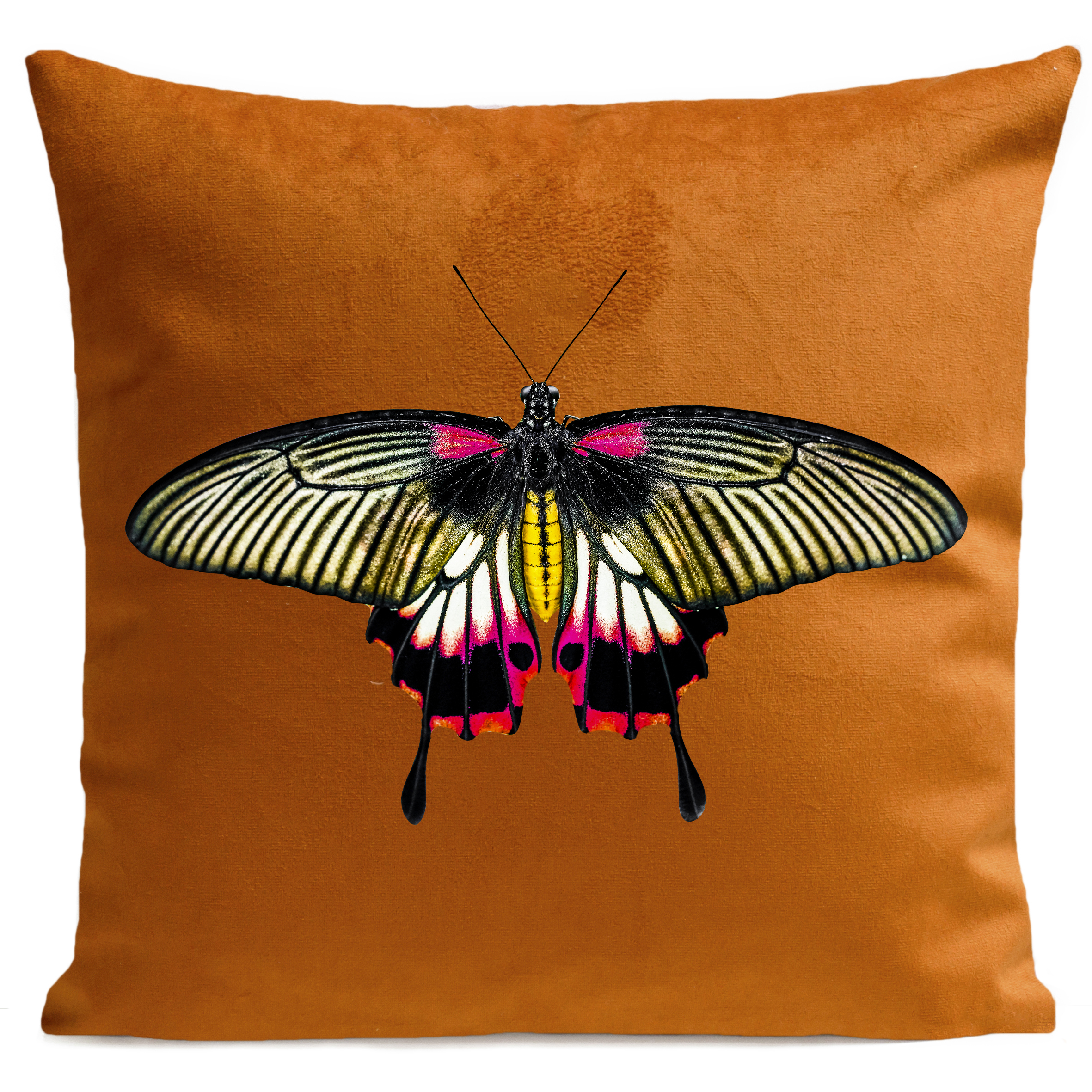 coussin-pink-butterfly-rouille