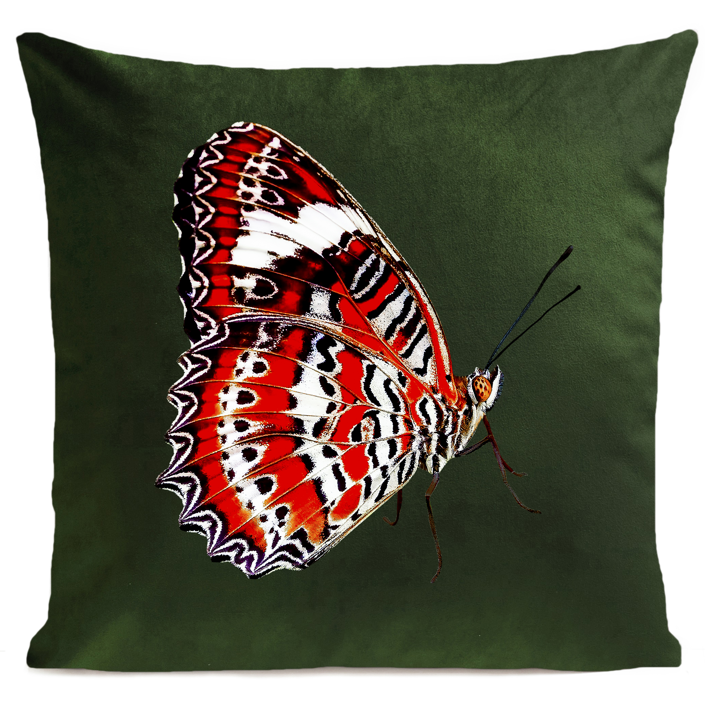 coussin-red-butterfly-vert-bouteille