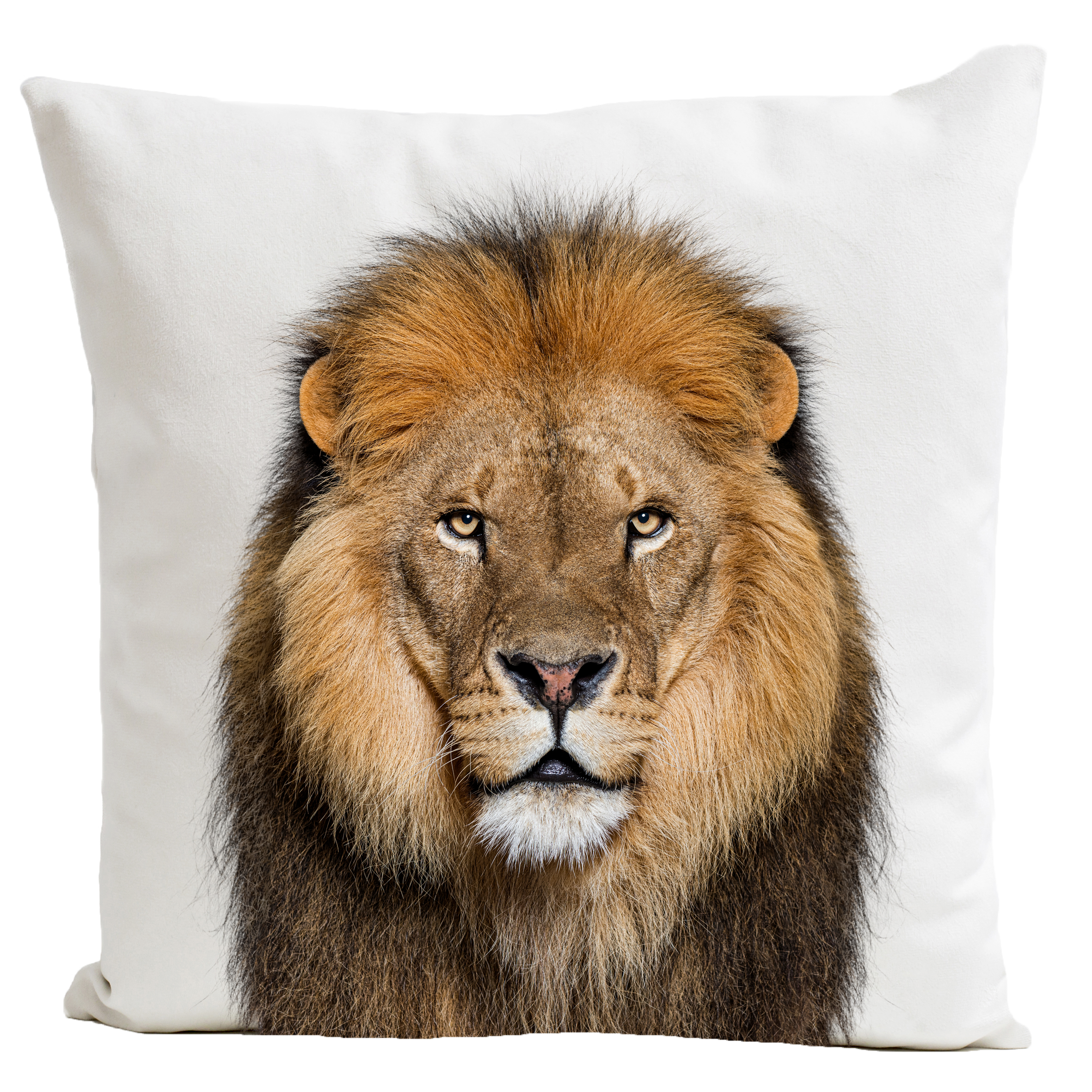 Coussin Lion King