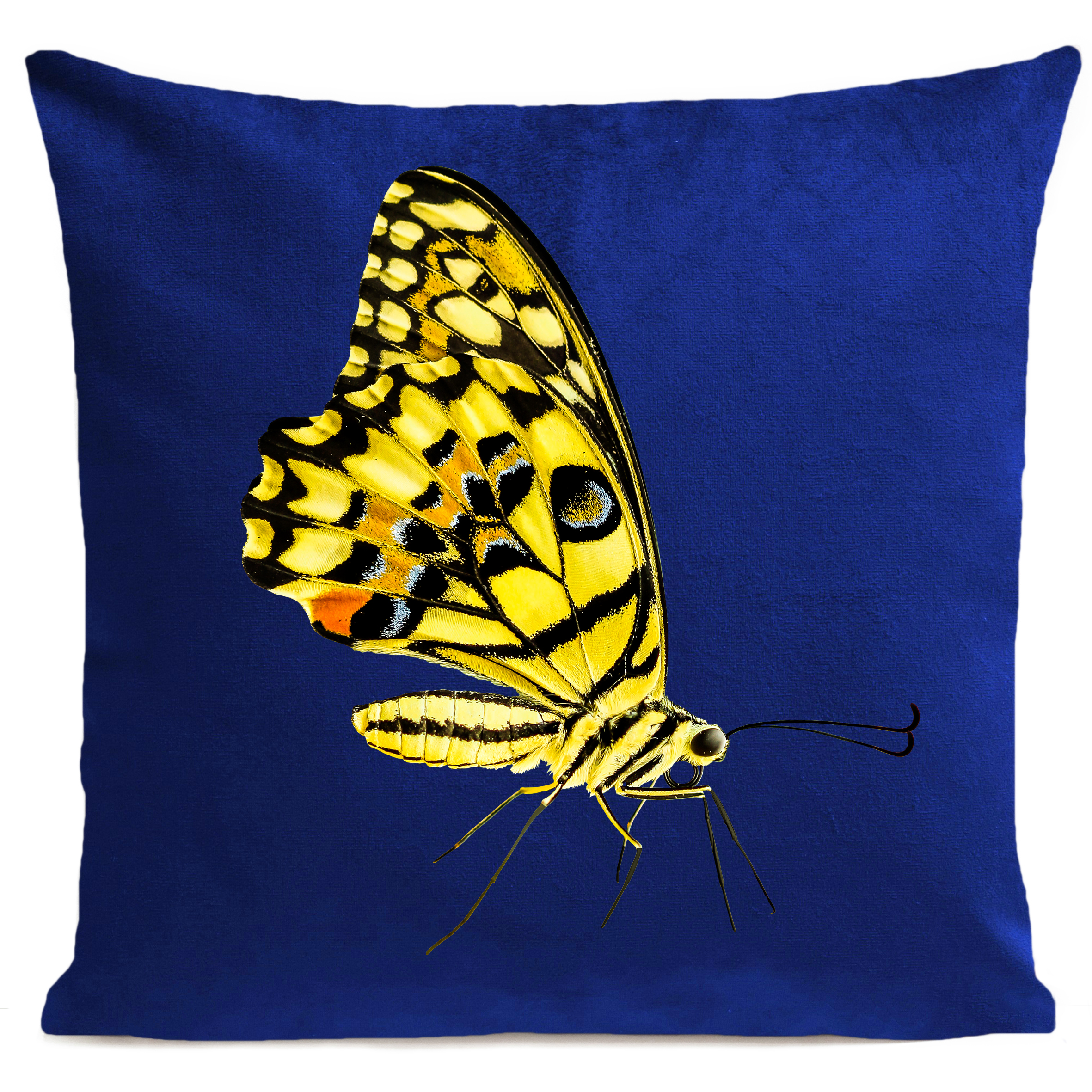 Coussin Yellow Butterfly Bleu Klein