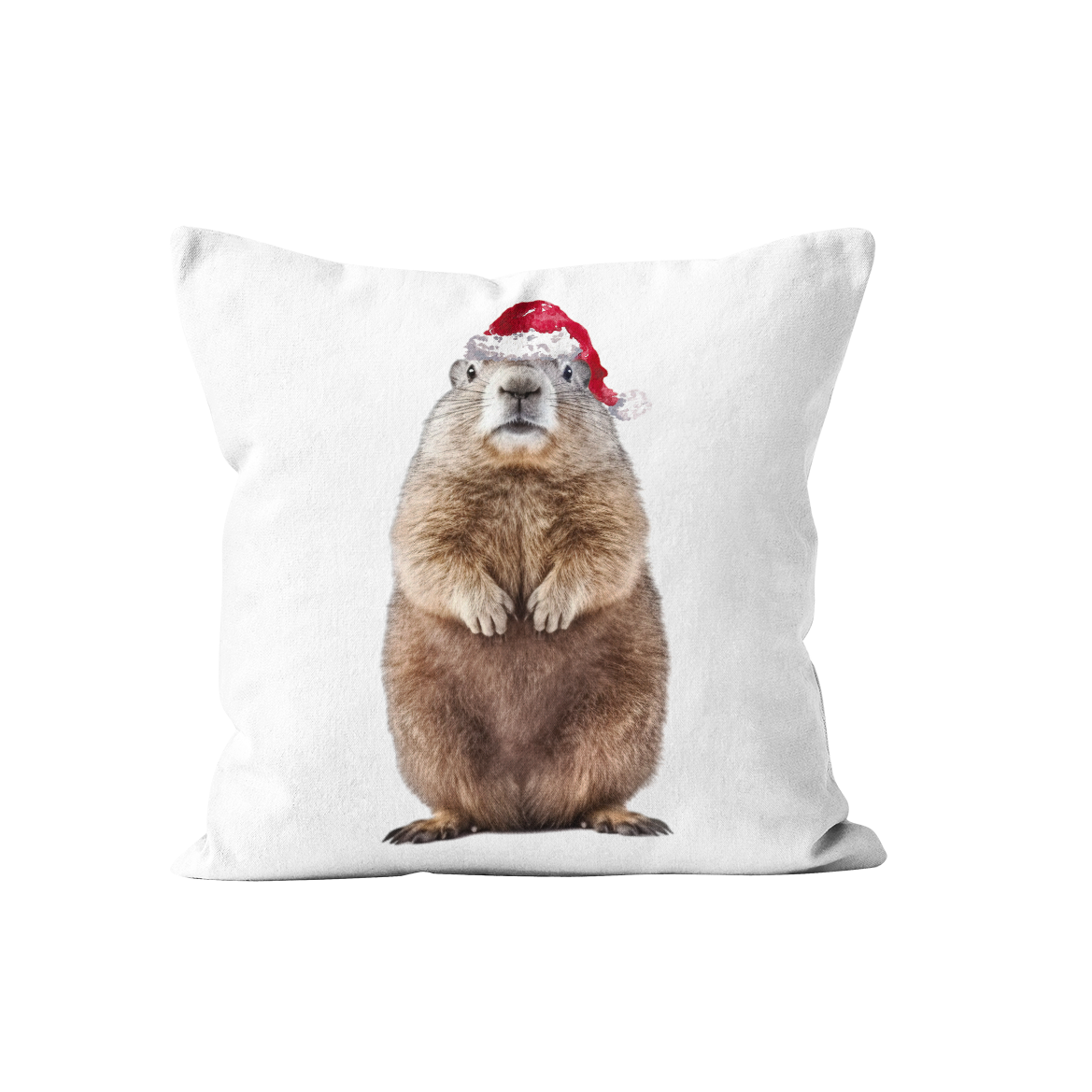 Coussin Marmotte de Noël