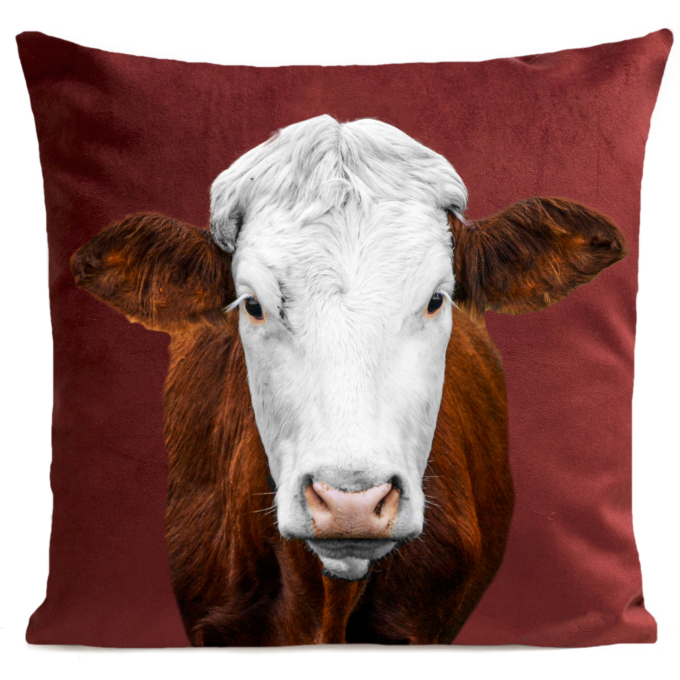 coussin-mrs-cow-grenat
