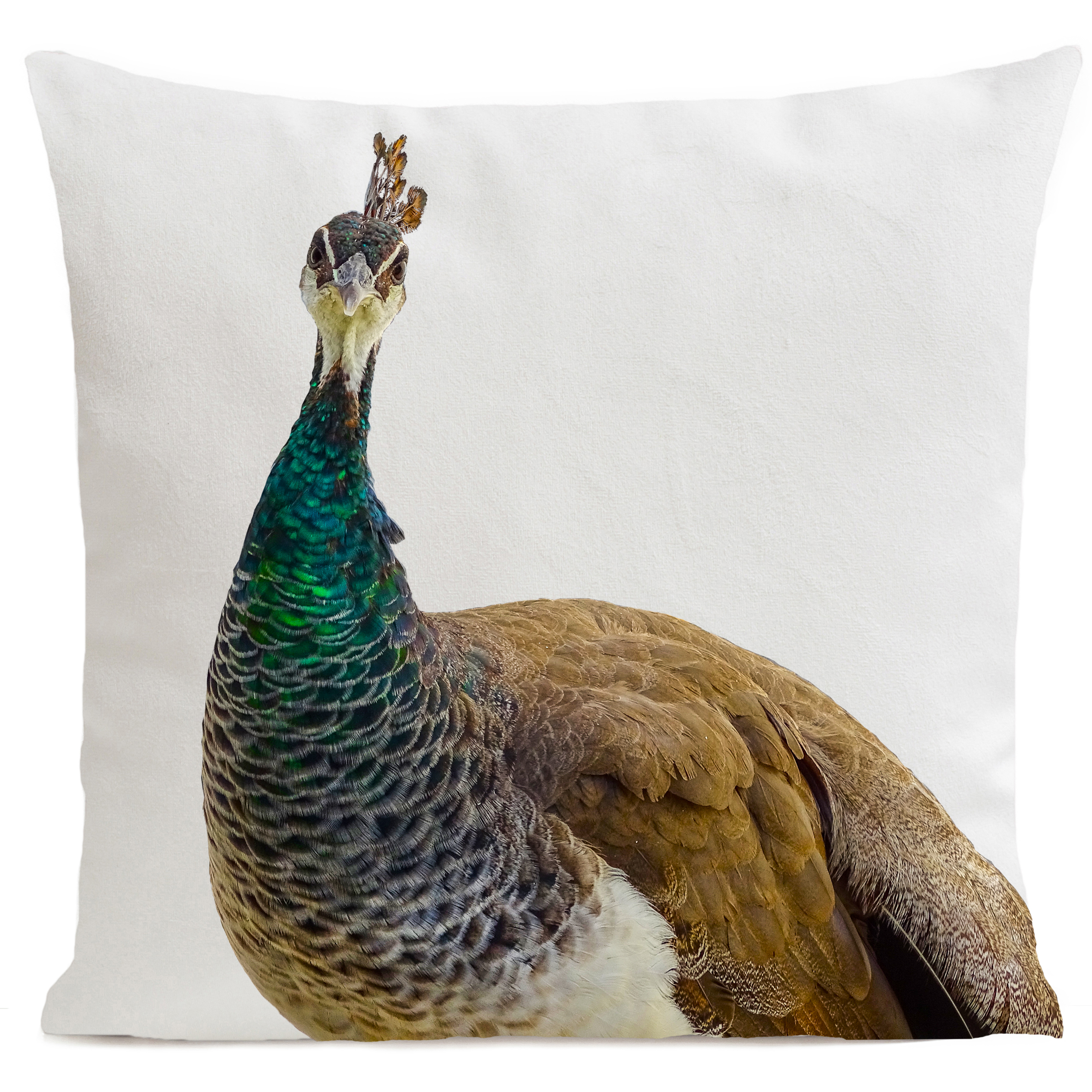 Coussin Mme Peacock