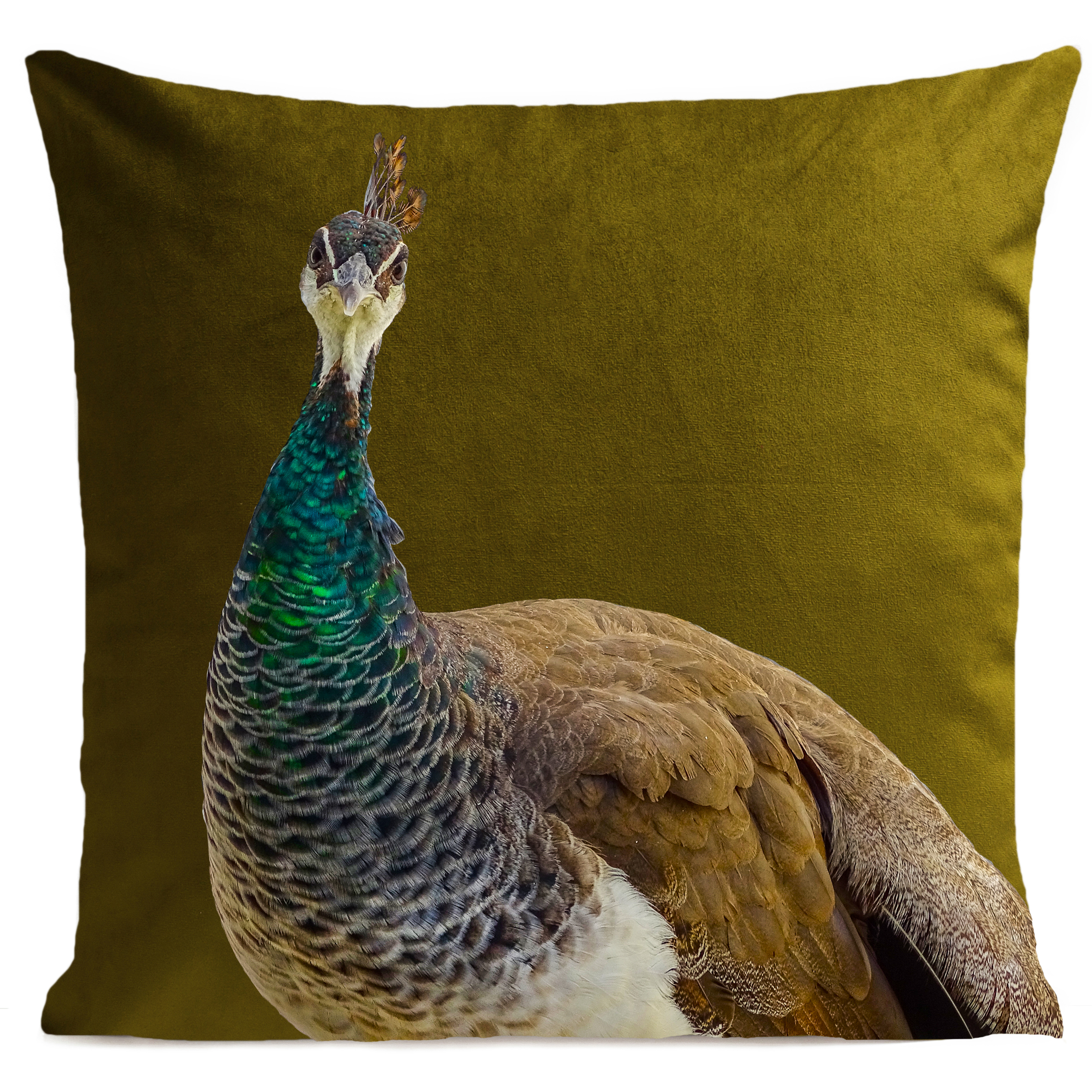 coussin-mme-peacock-vert-olive