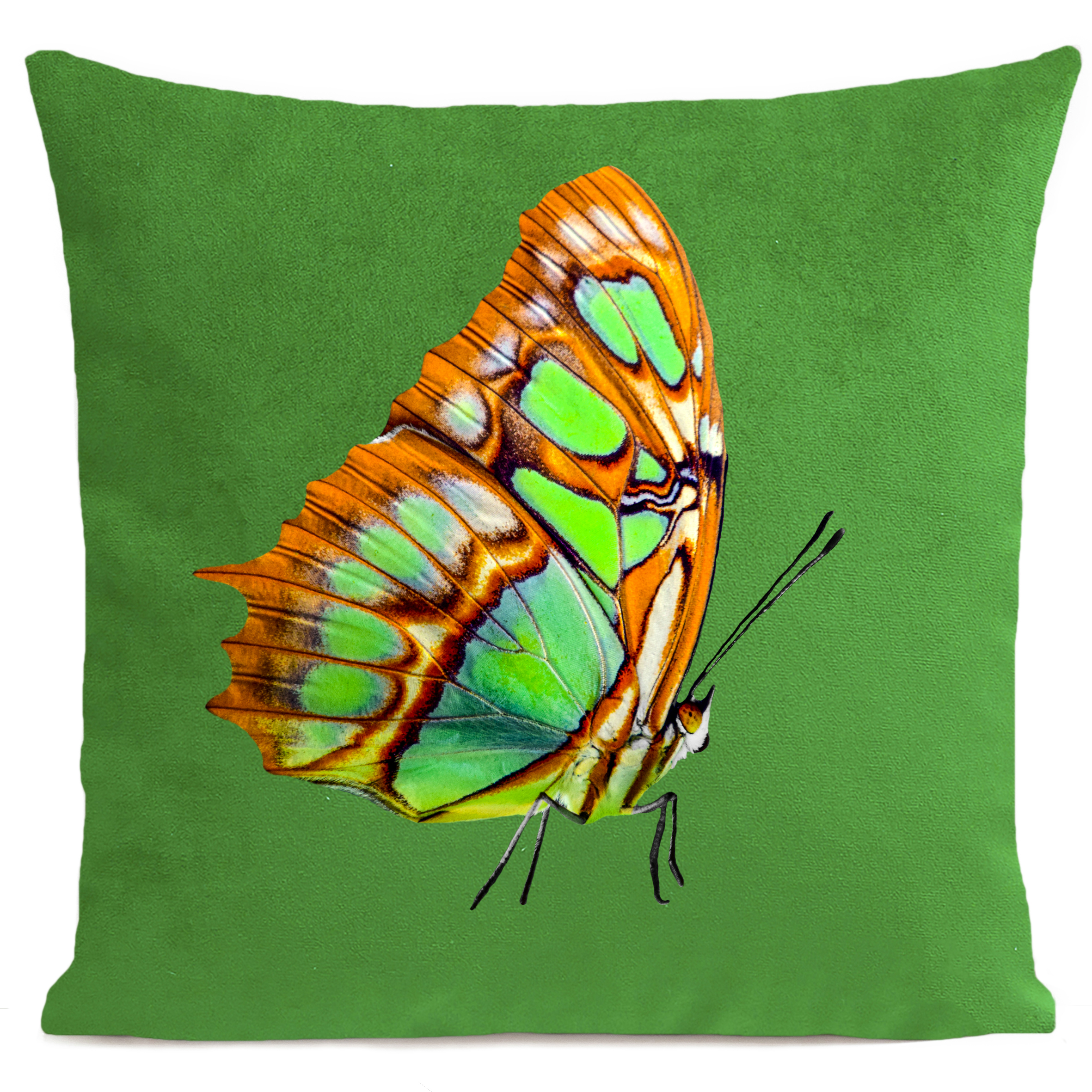 coussin-orange-butterfly-vert-vif