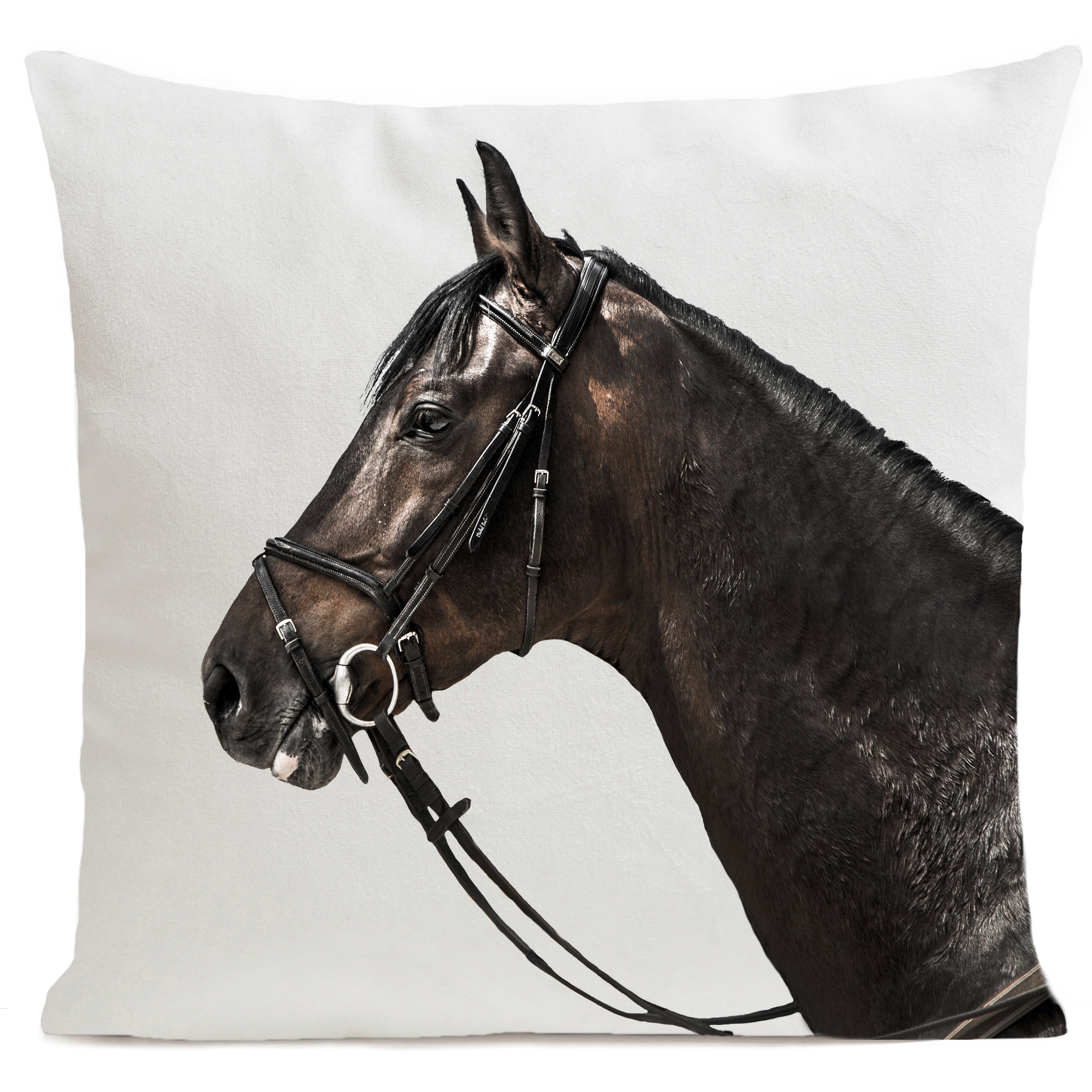 Coussin Racer