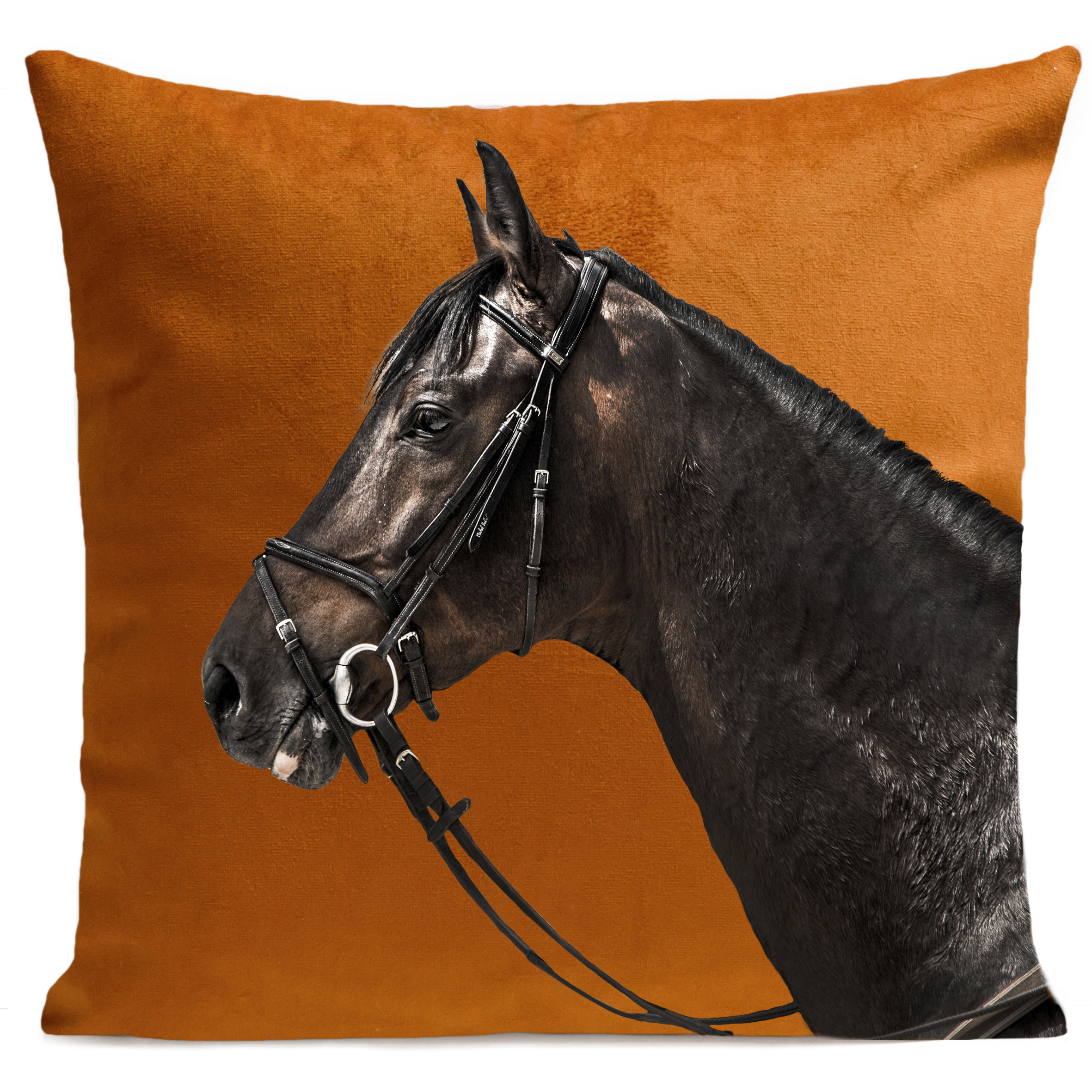 coussin-racer-rouille