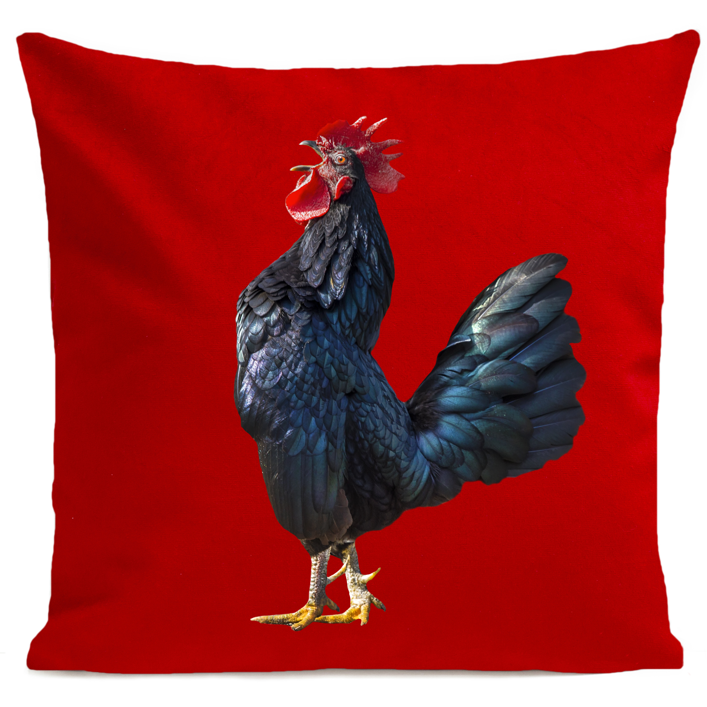 coussin-the-singer-rouge