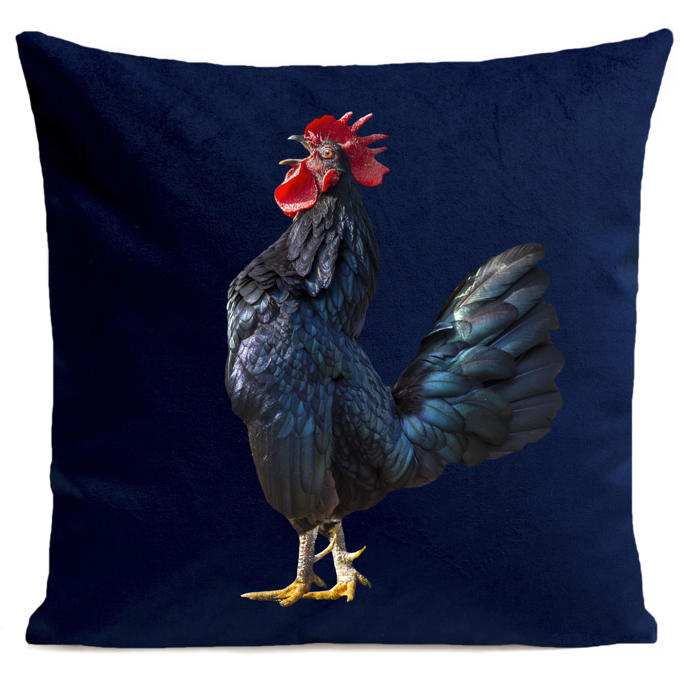 coussin-the-singer-bleu-fonce