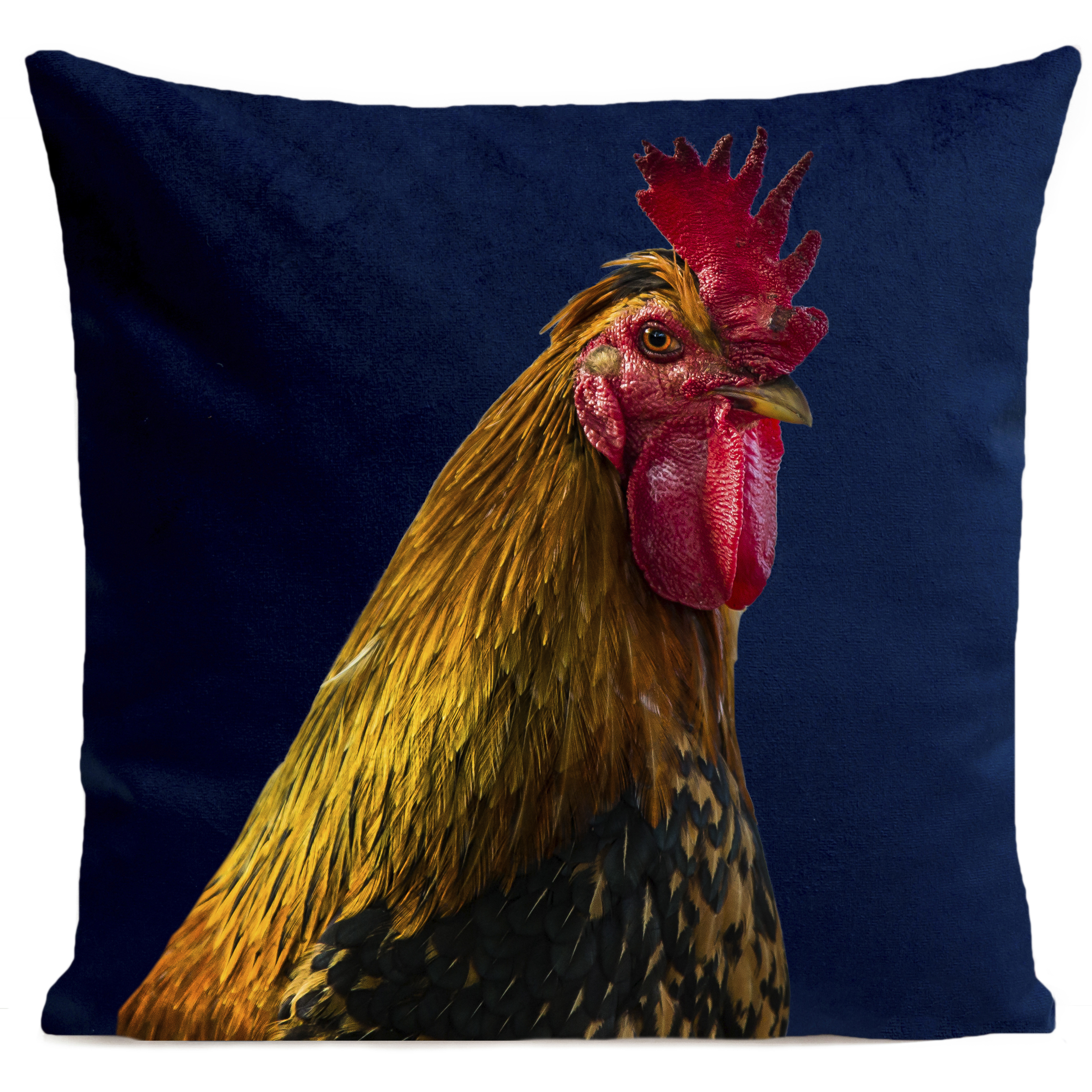 coussin-gaulois-bleu-fonce