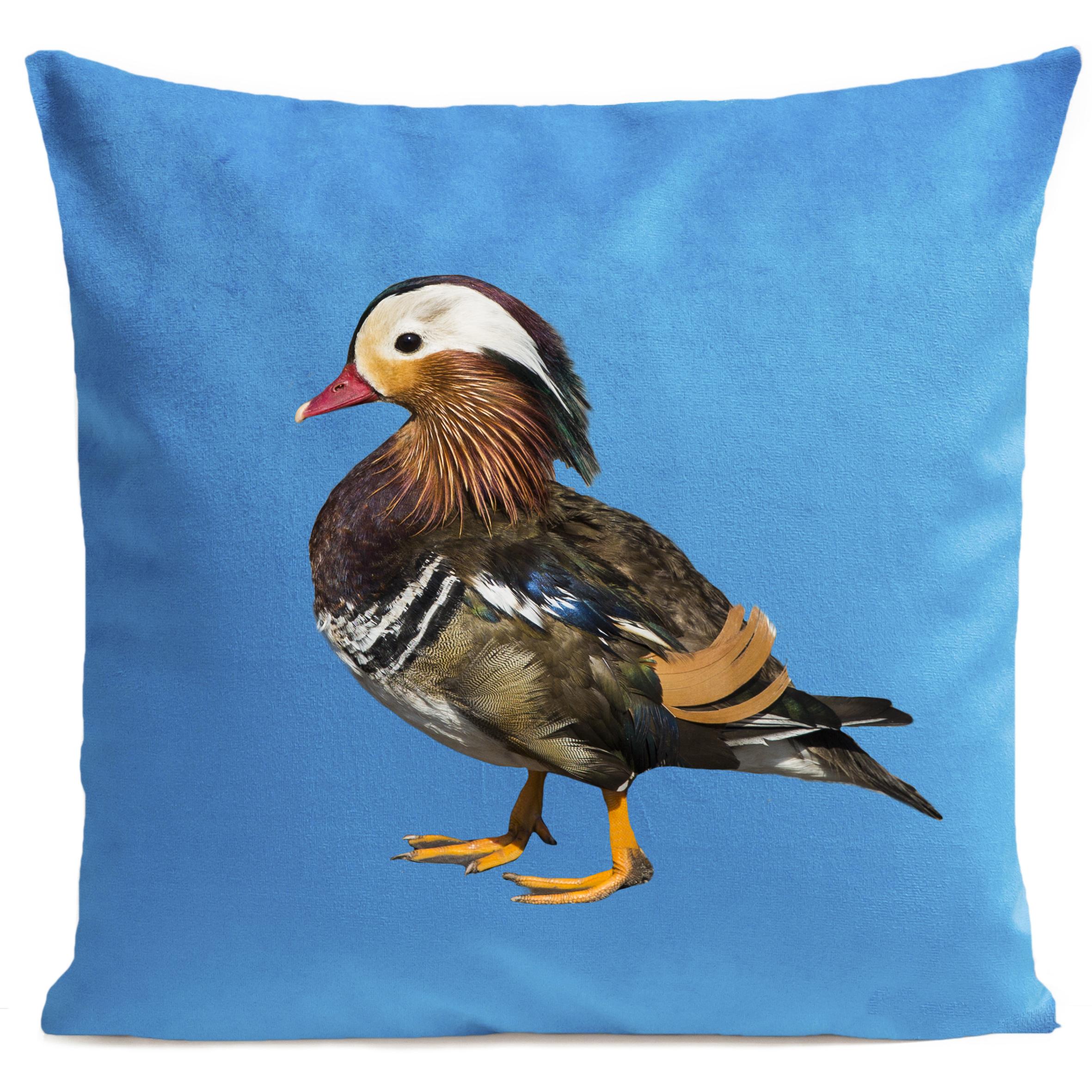 coussin-baby-duck-bleu-vif