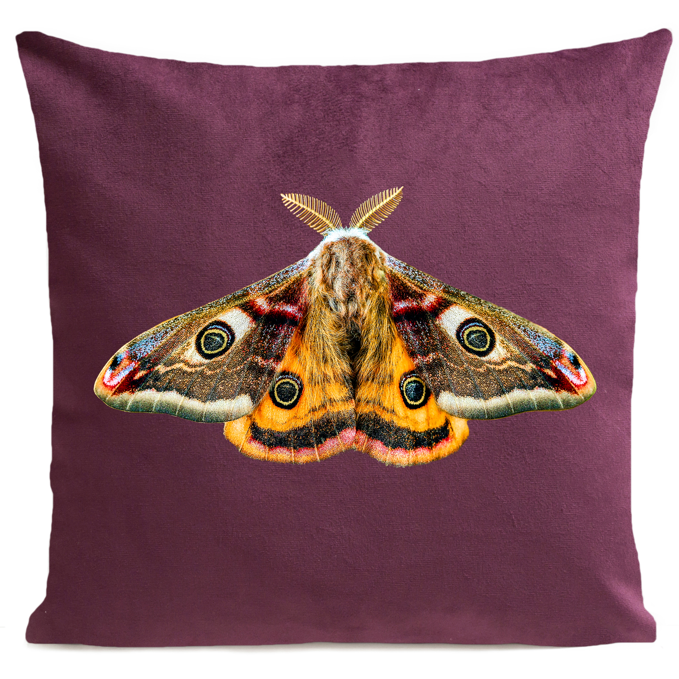 coussin-giant-peacock-moth-prune