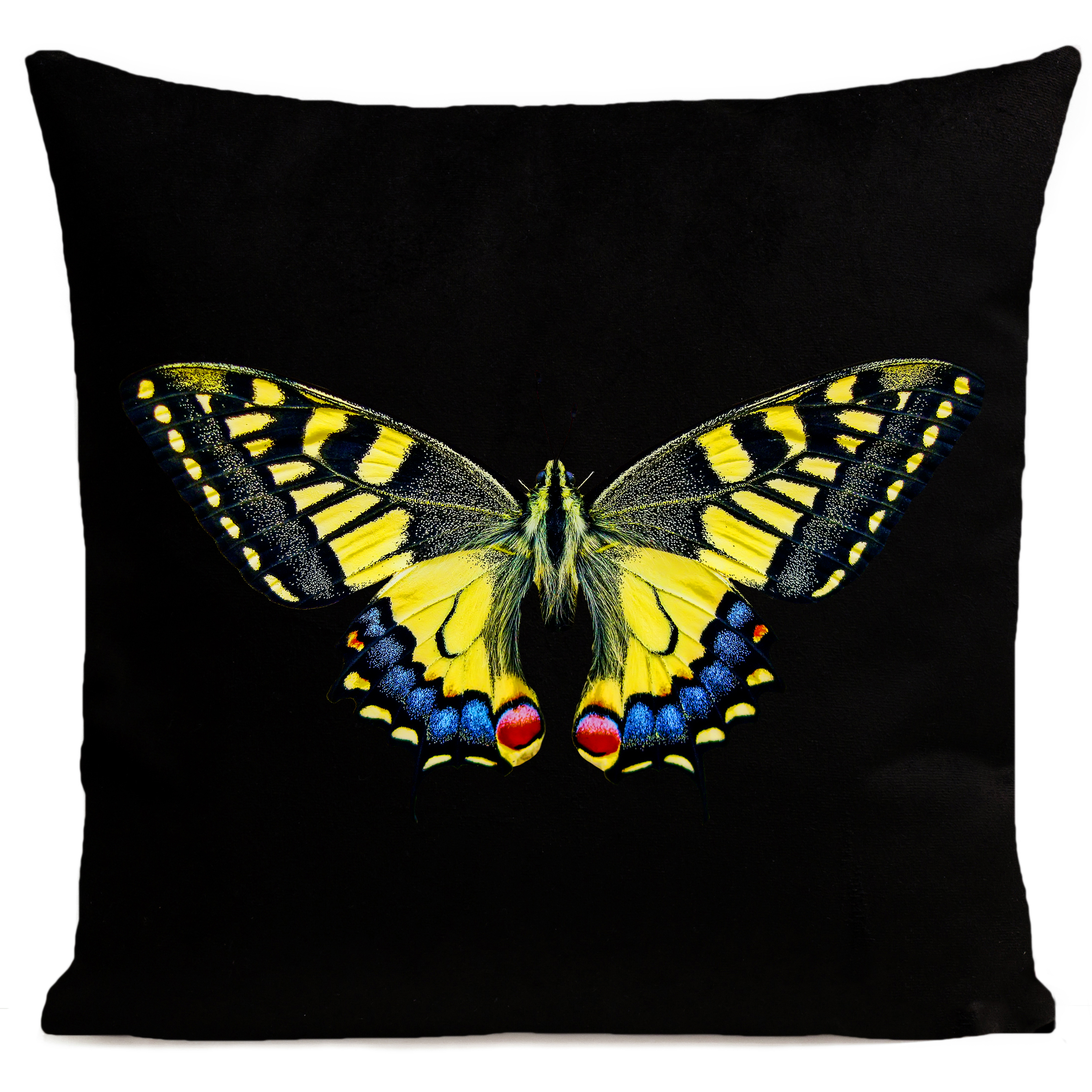 coussin-tiger-butterfly-noir