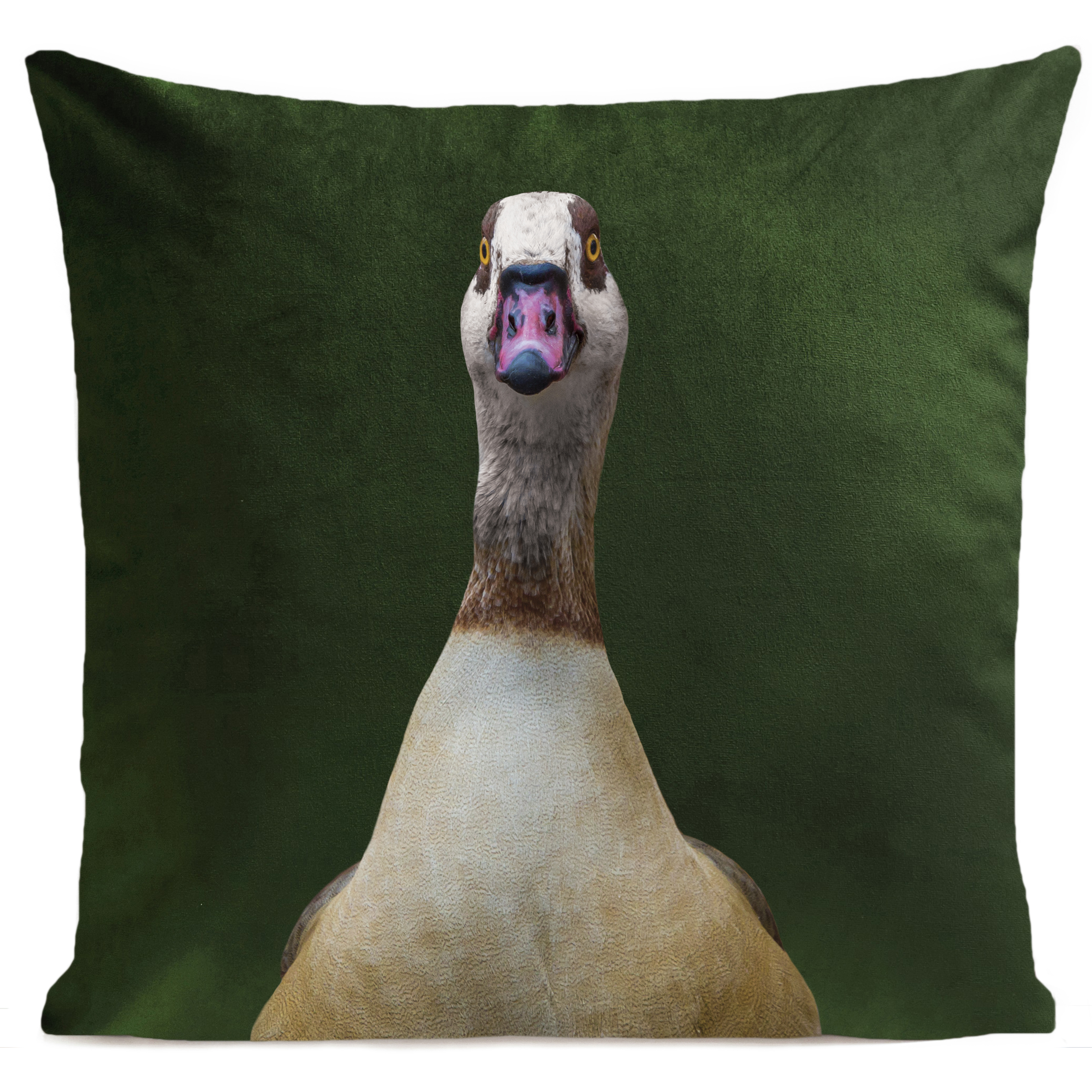 coussin-funny-goose-vert-bouteille