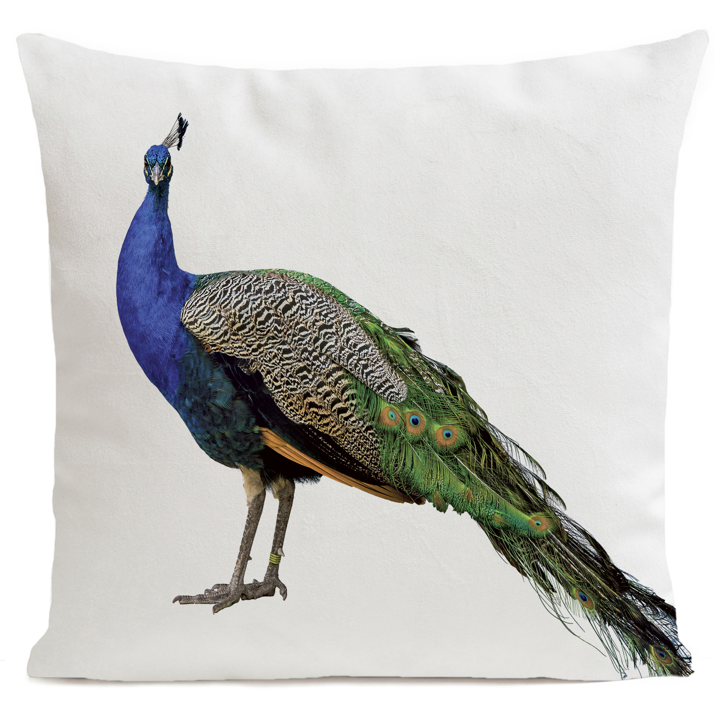 Coussin Royal Peacock