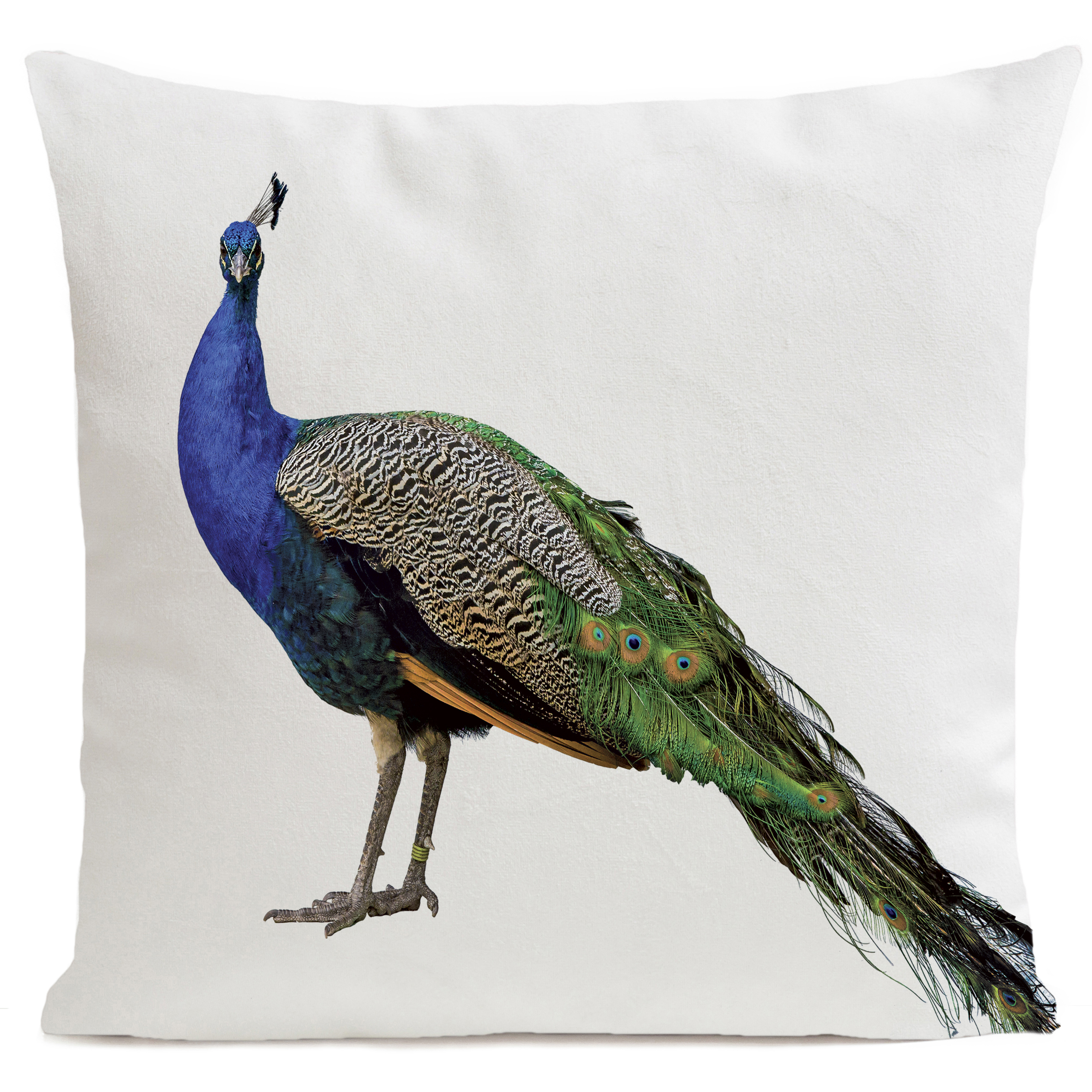 coussin-royal-peacock-blanc