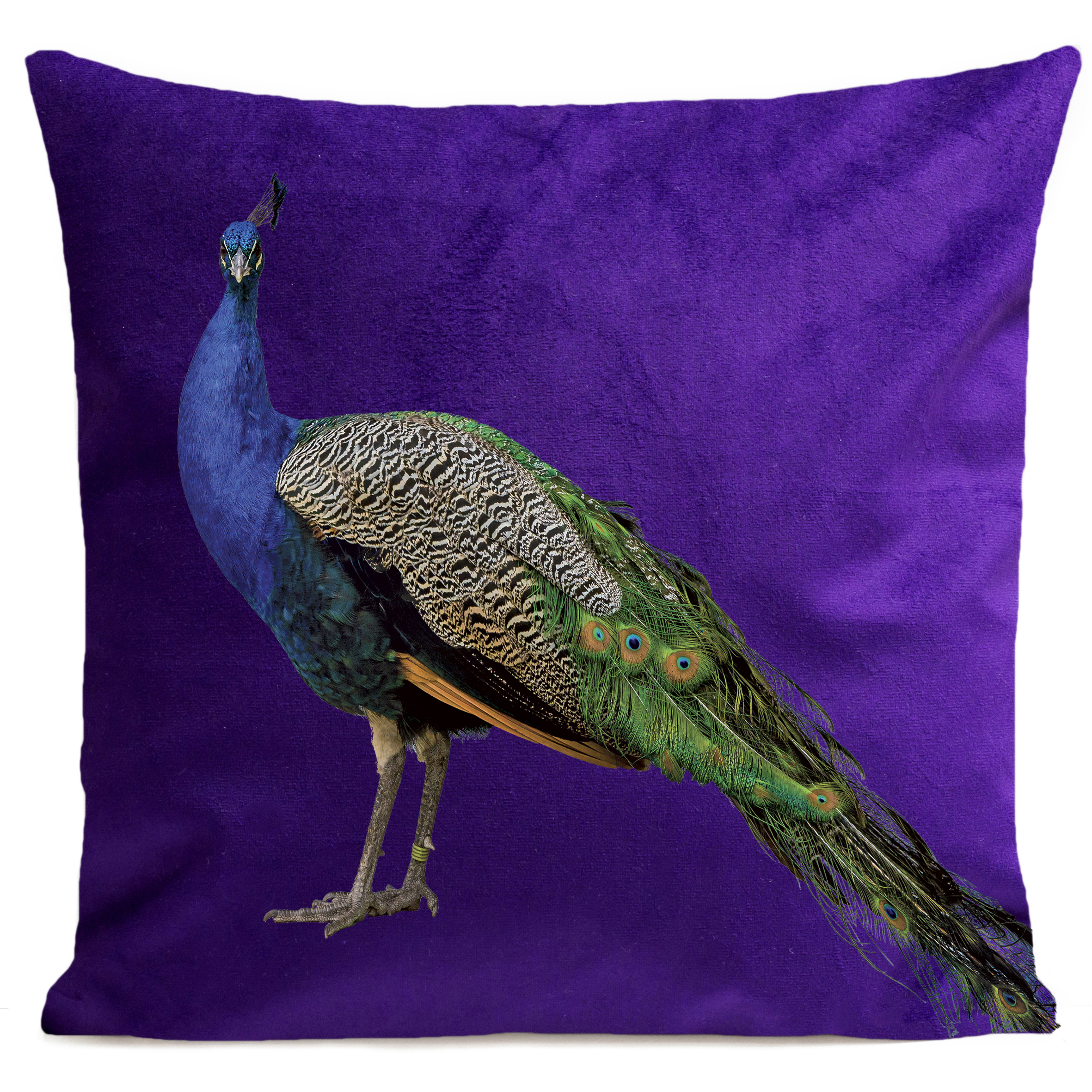 coussin-royal-peacock-violet