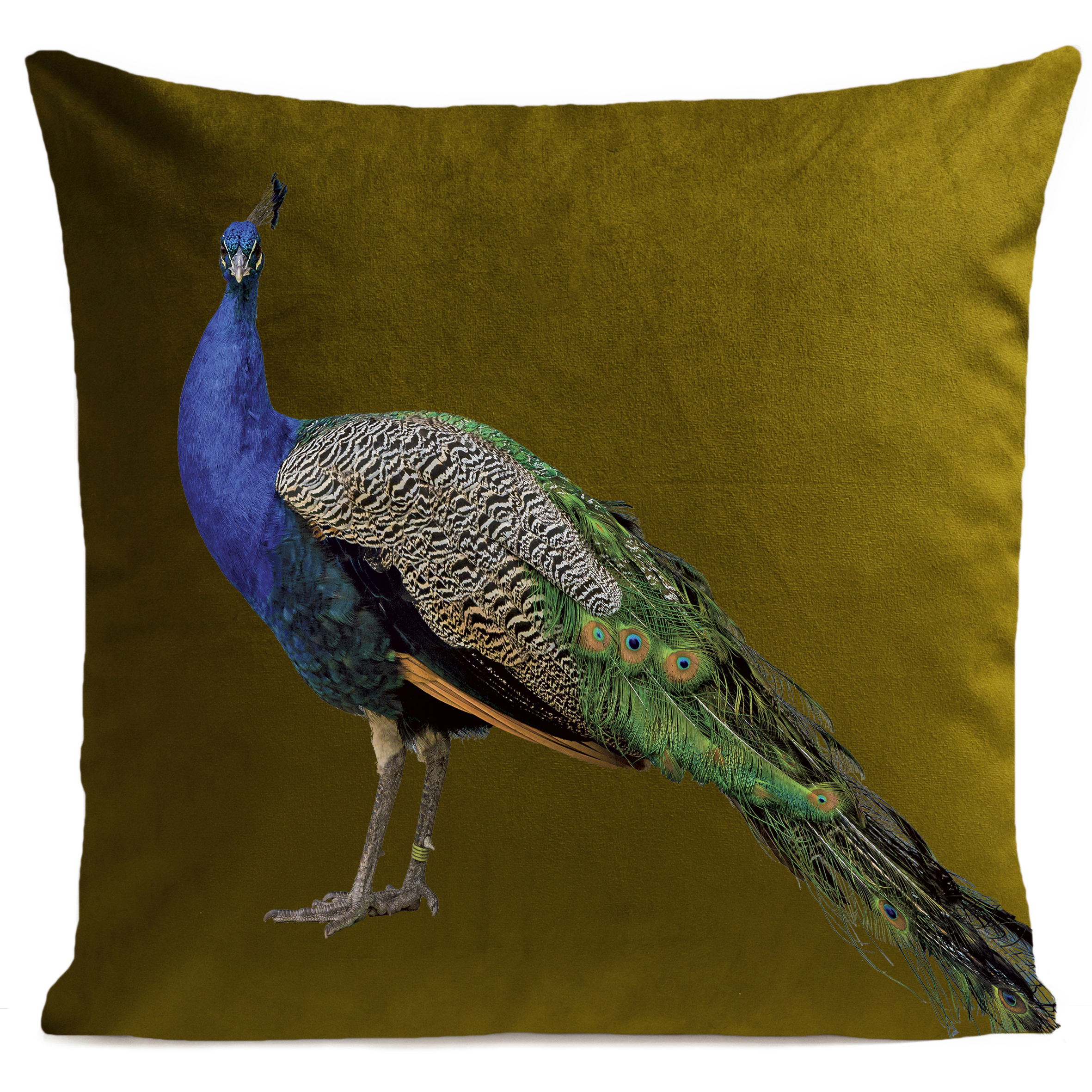 coussin-royal-peacock-vert-olive