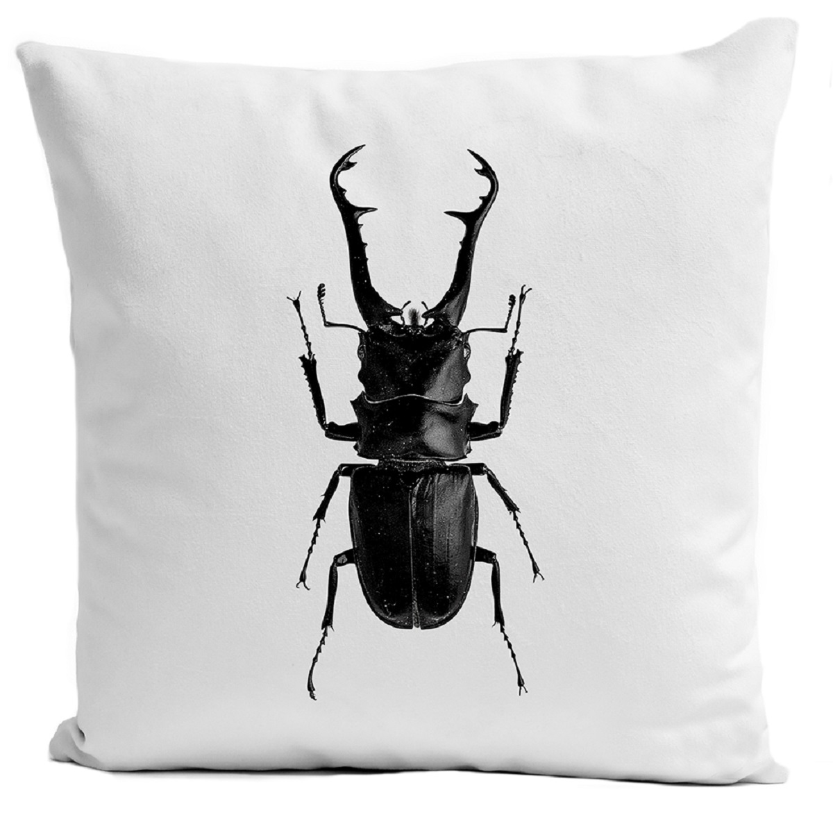 Coussin Insect IV