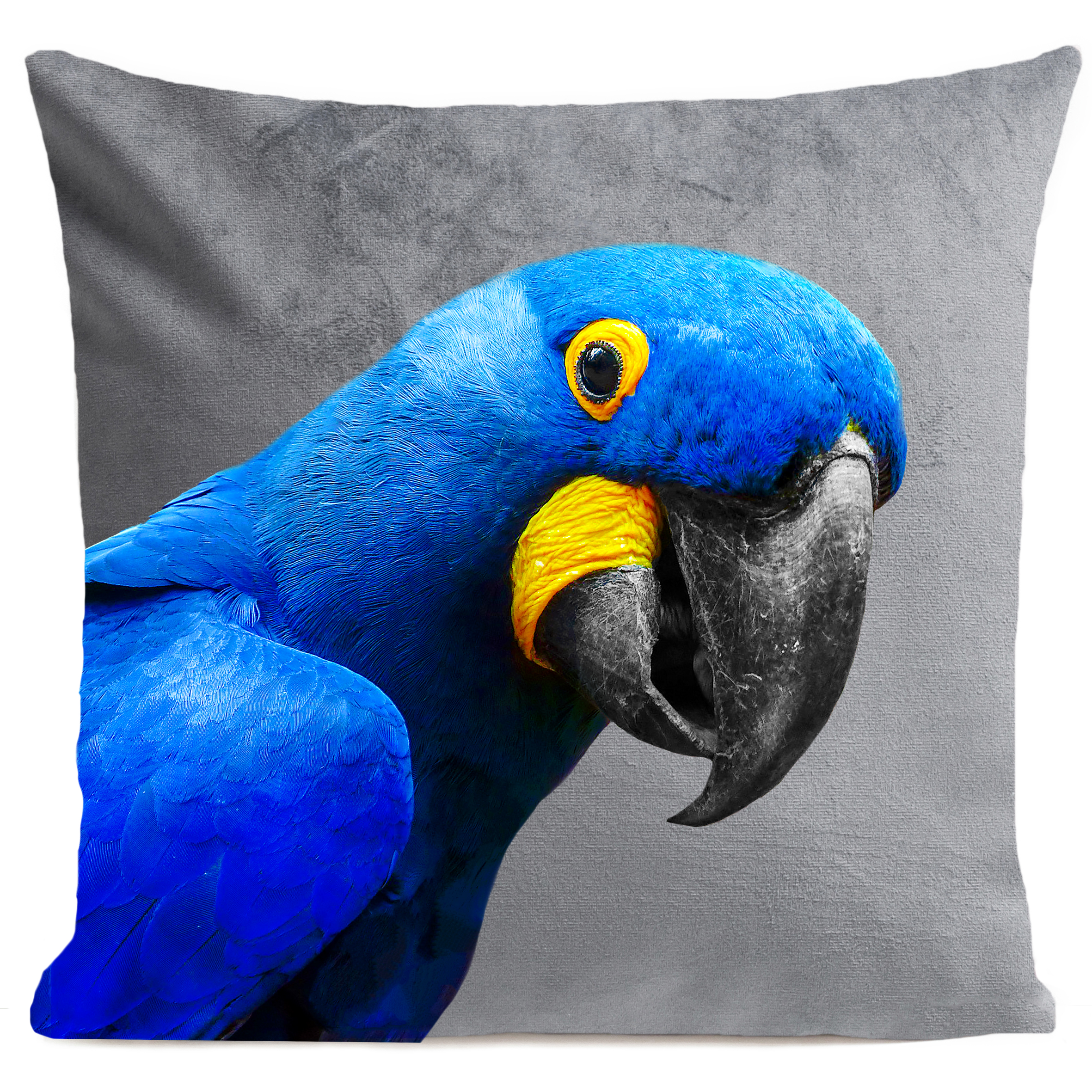 coussin-yaya-the-parrot-gris-clair