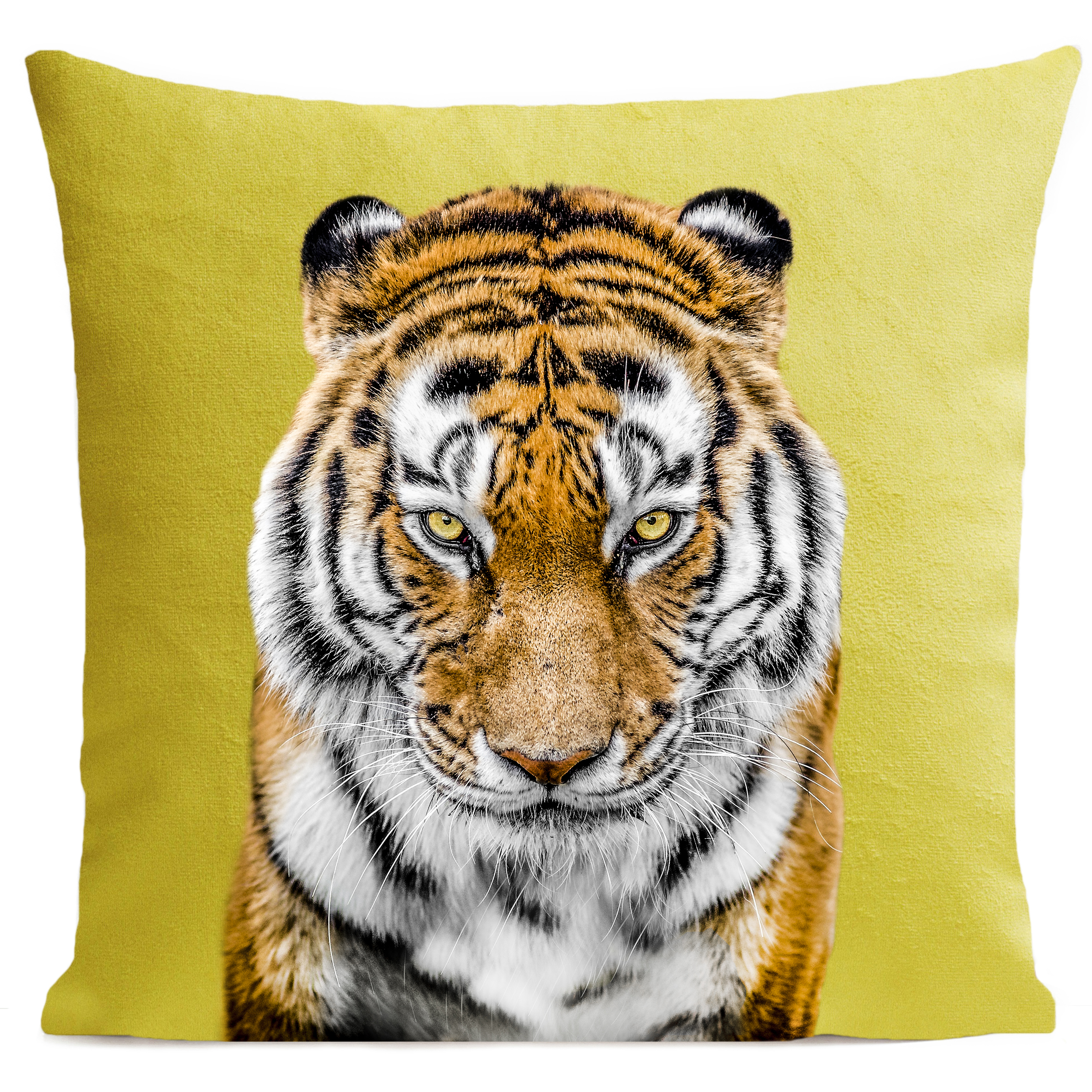 Housse de coussin Tigre Orange