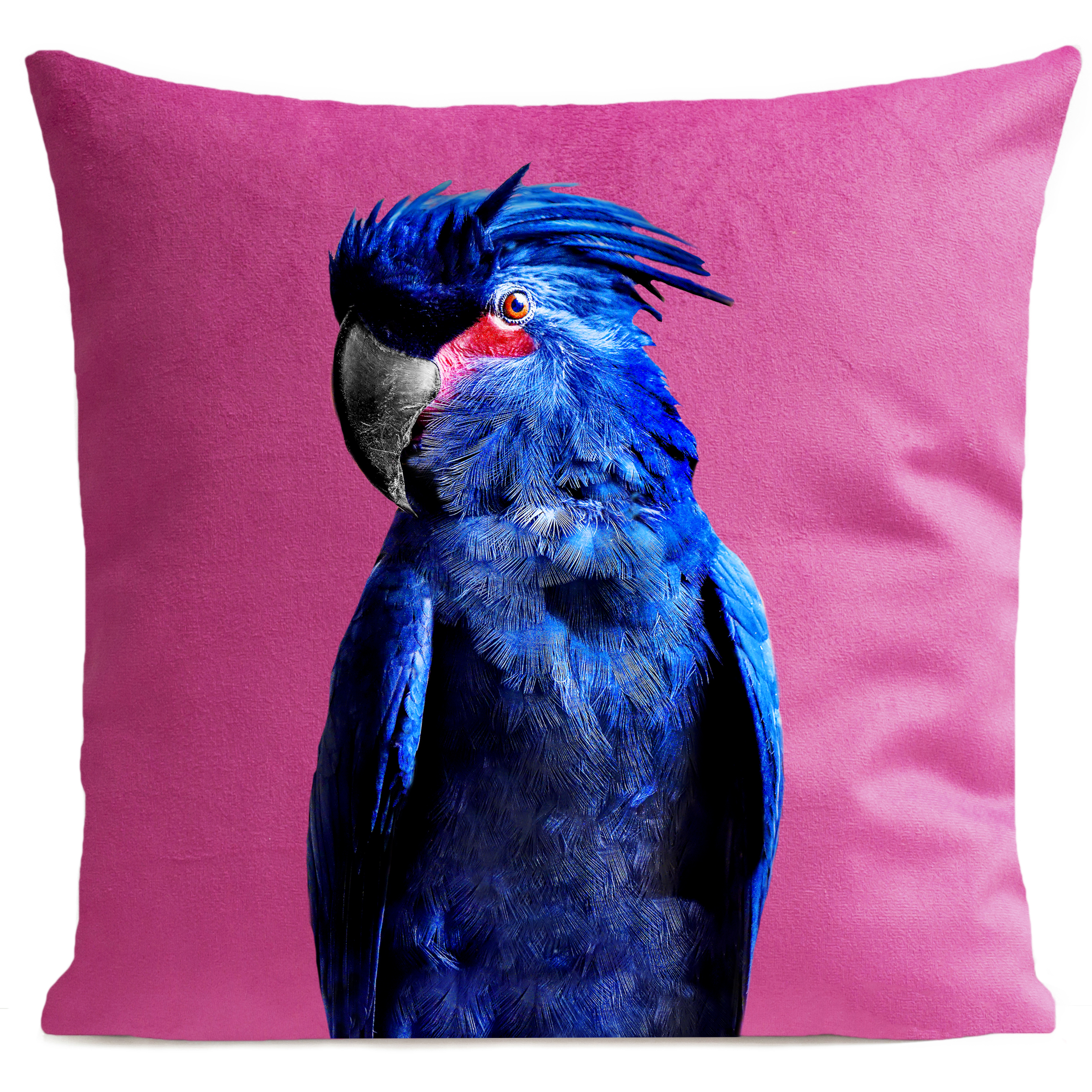 coussin-punky-parrot-rose-vif