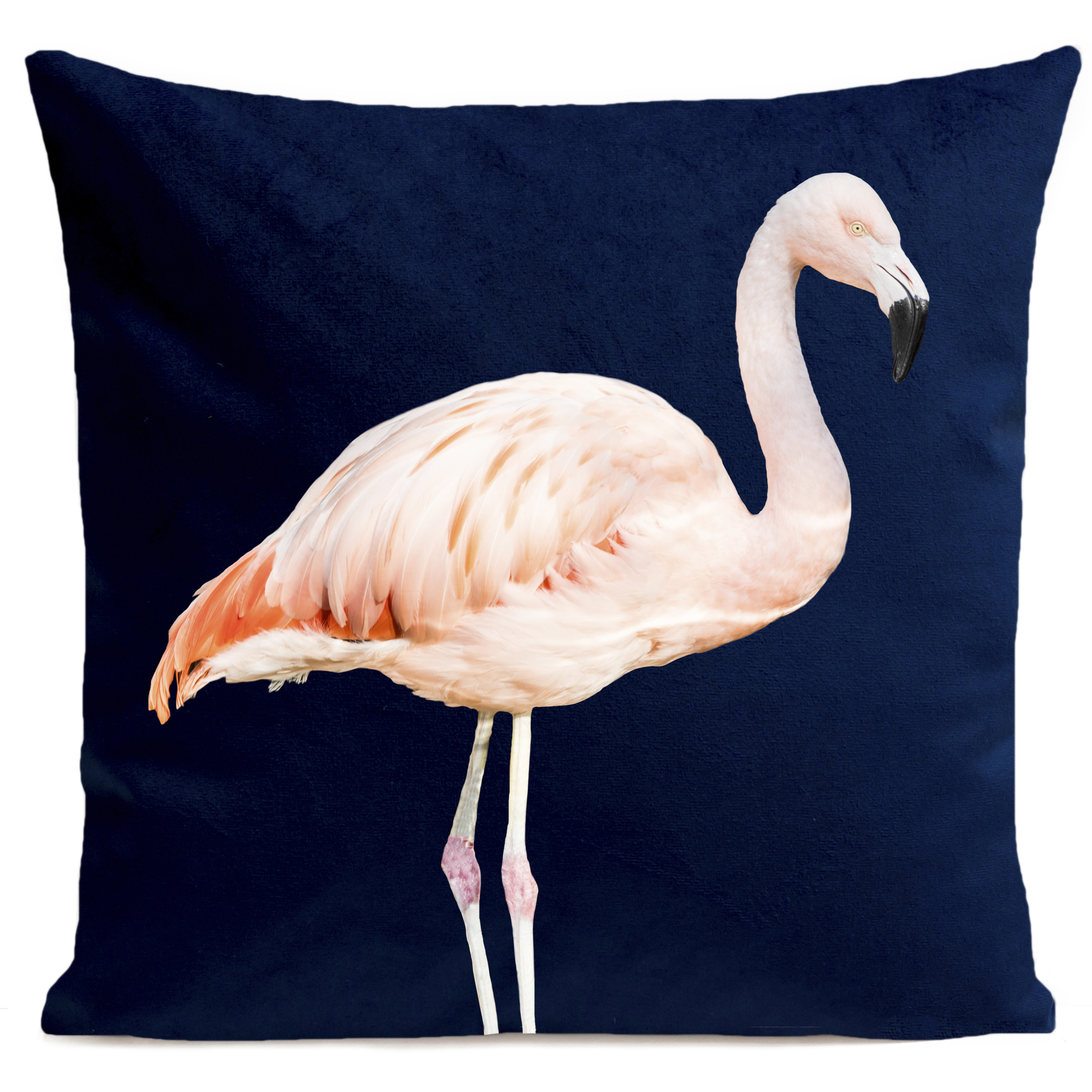 coussin-pink-flamingo-bleu-fonce