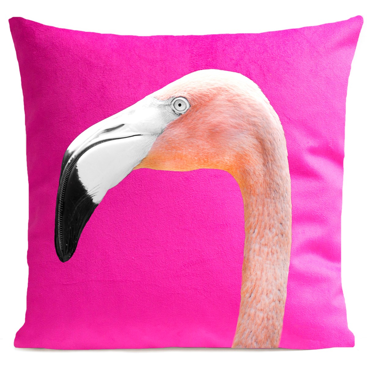 Coussin Mr. Flamingo