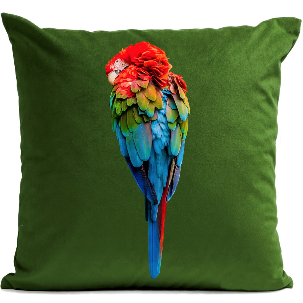 Coussin Red Parrot