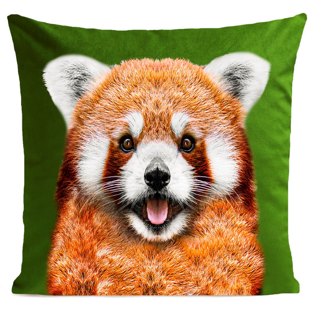 Coussin Pandinou