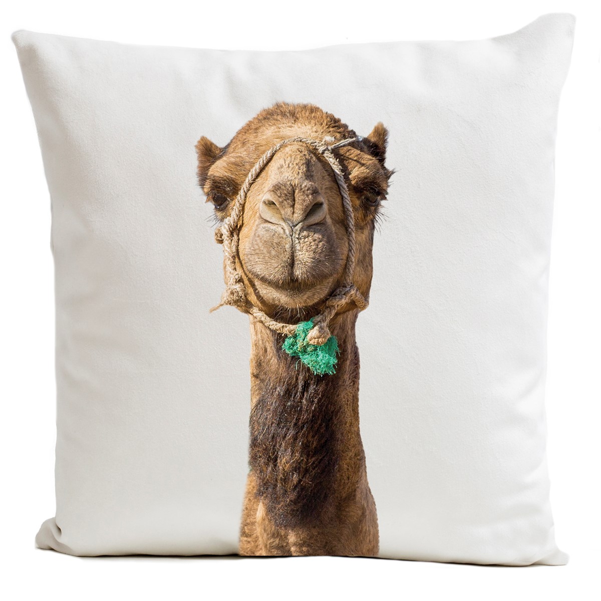 Coussin Smiling Camel