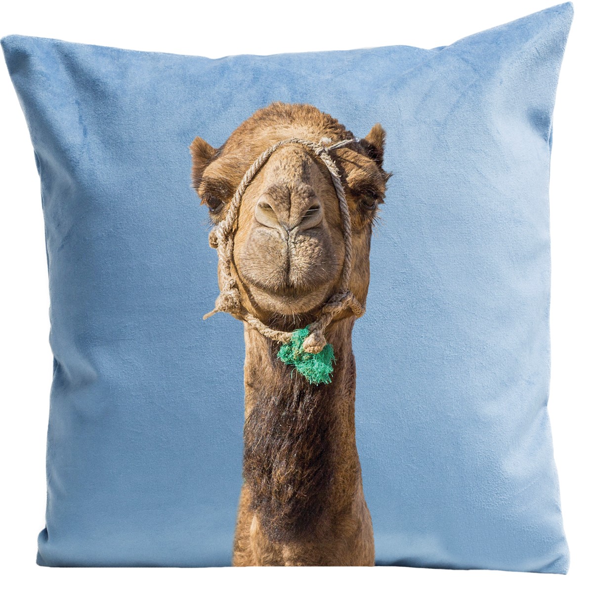 Coussin SMILING CAMEL