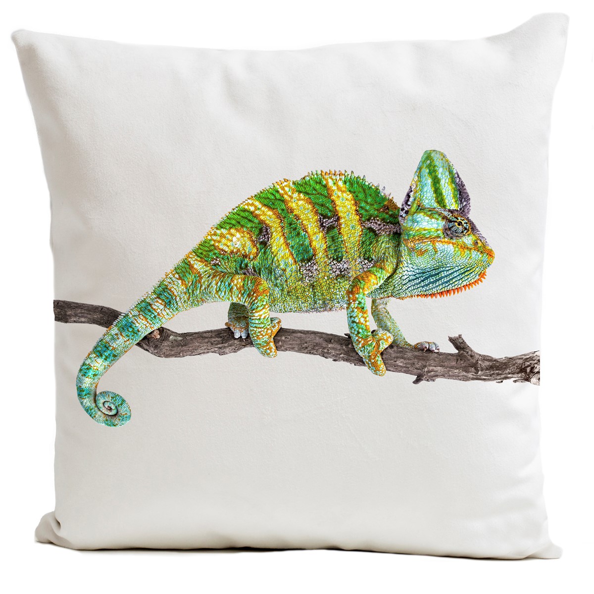 Coussin Cameleon