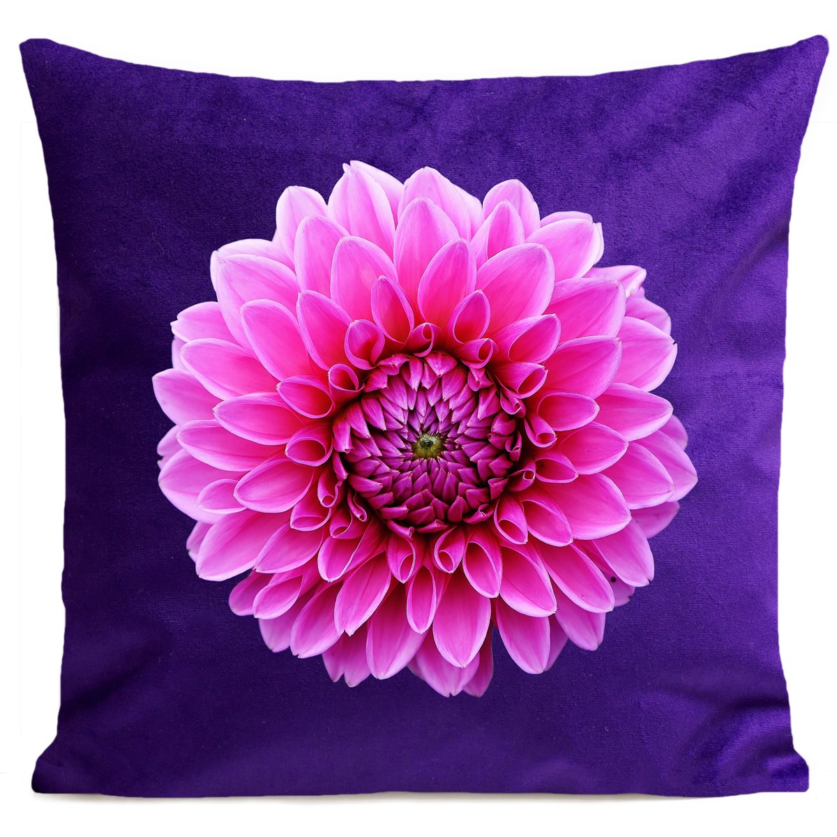 Coussin DAHLIA