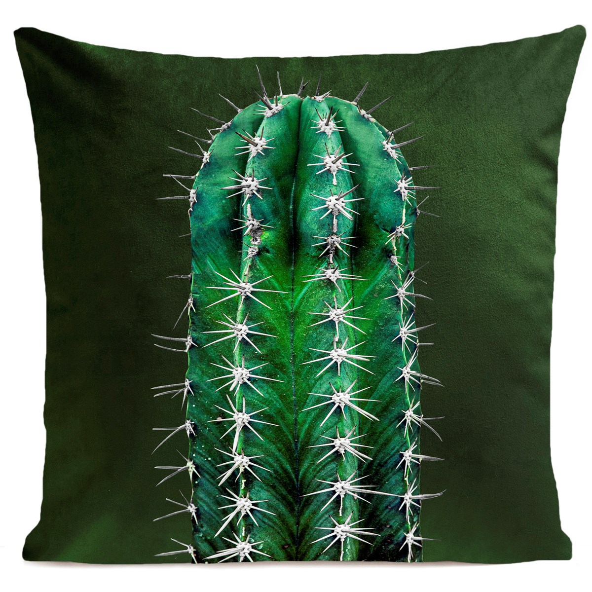 Coussin CACTUS