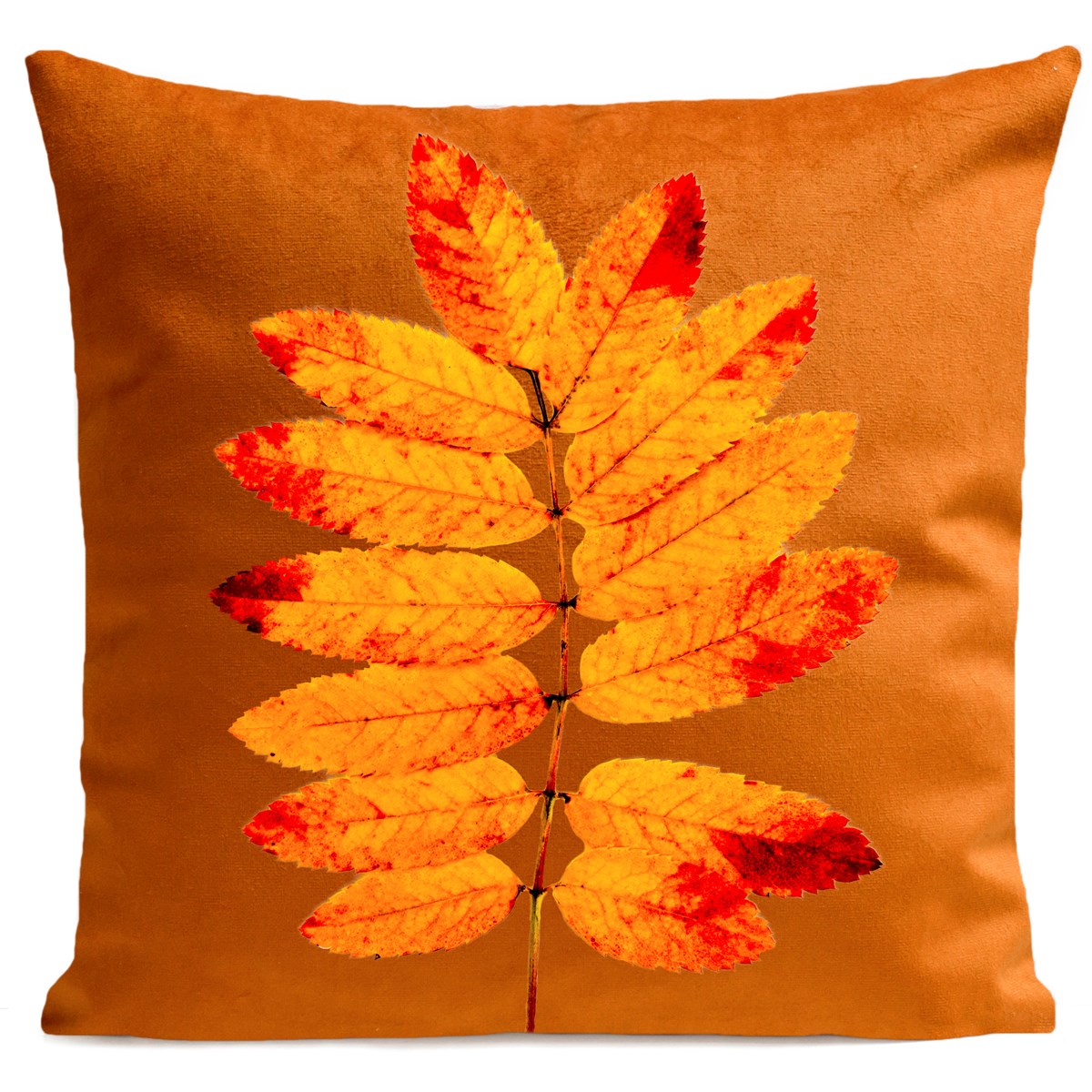 Coussin ORANGE LEAVES