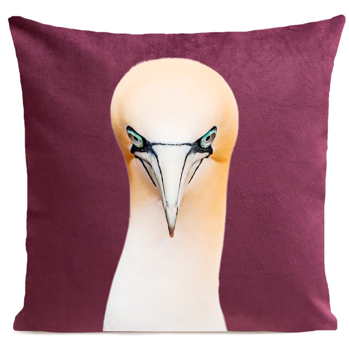 Coussin NORTHERN GANNET