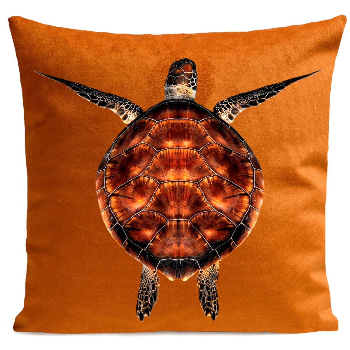 Coussin tortue, Miss Turtle