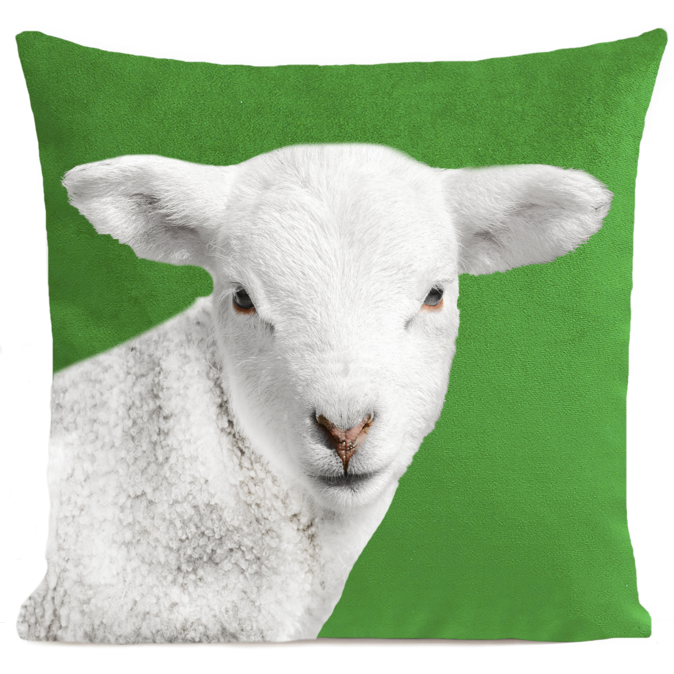 coussin-wooly-vert-vif