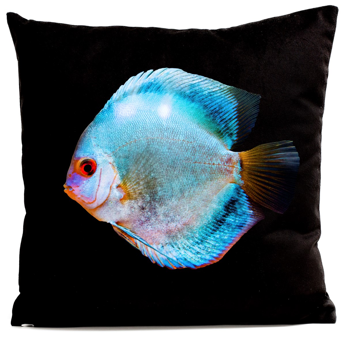 Coussin MISS BLUE