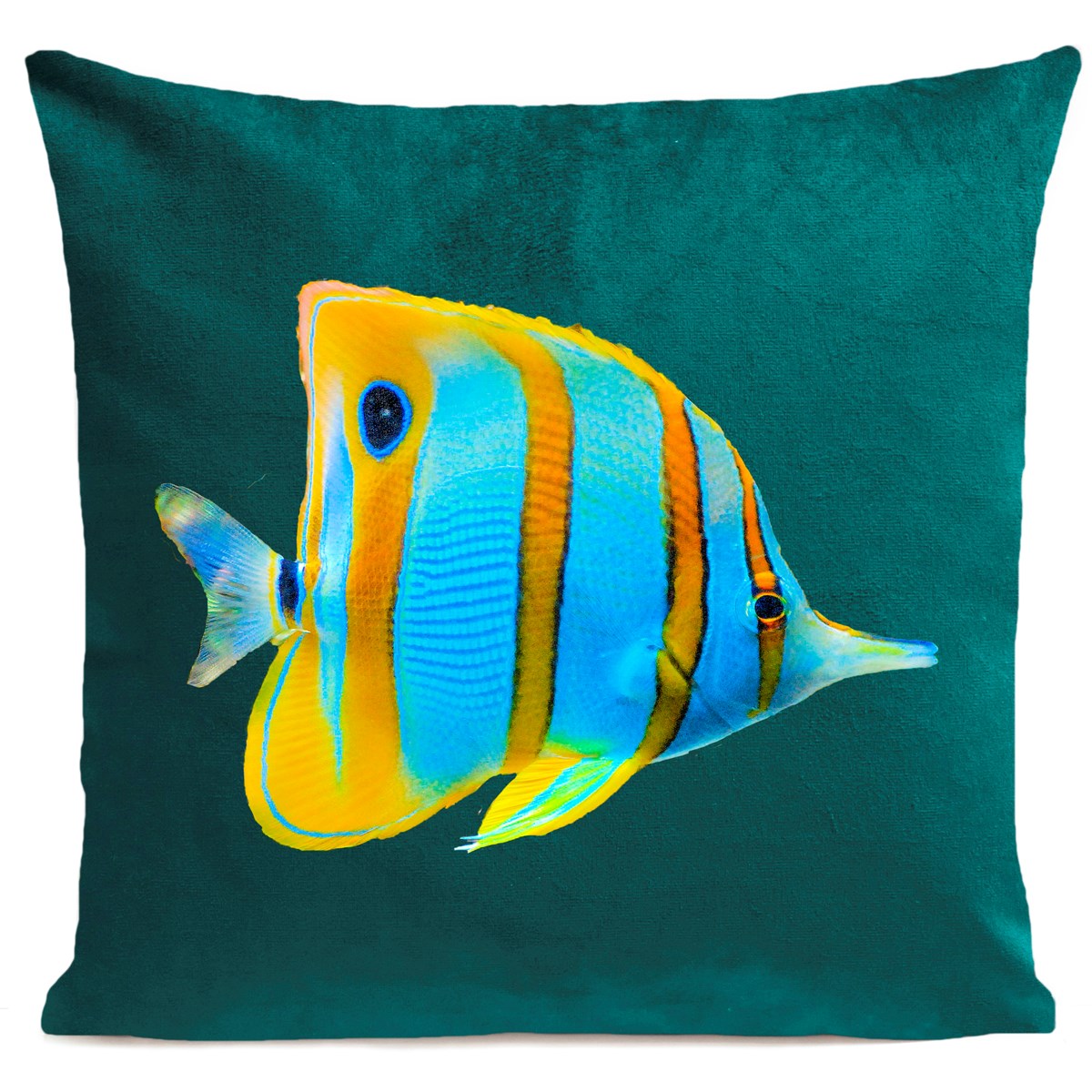 Coussin BUTTERFLY FISH