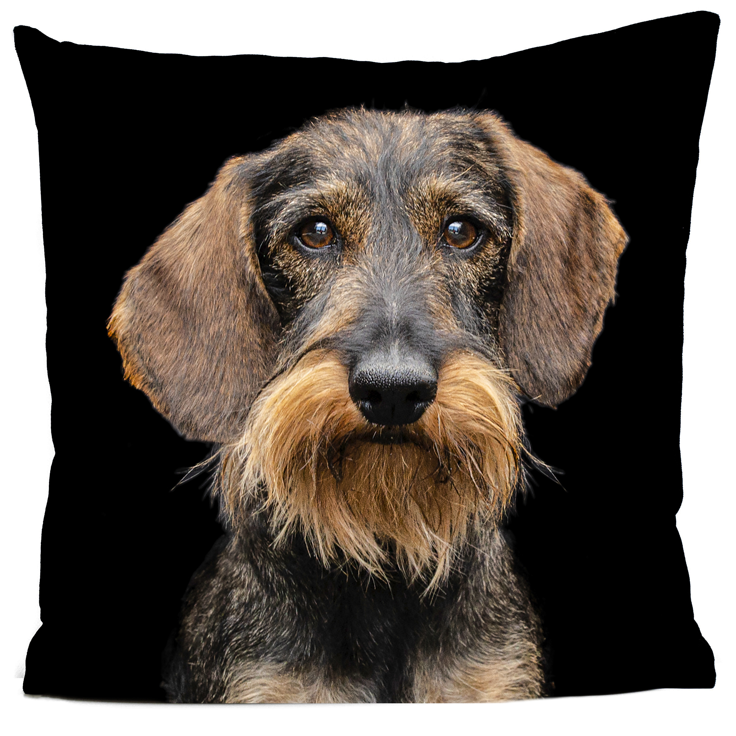 Housse De Coussin 75x75cm Lot De 4 Housse De Coussin Chien Herbe